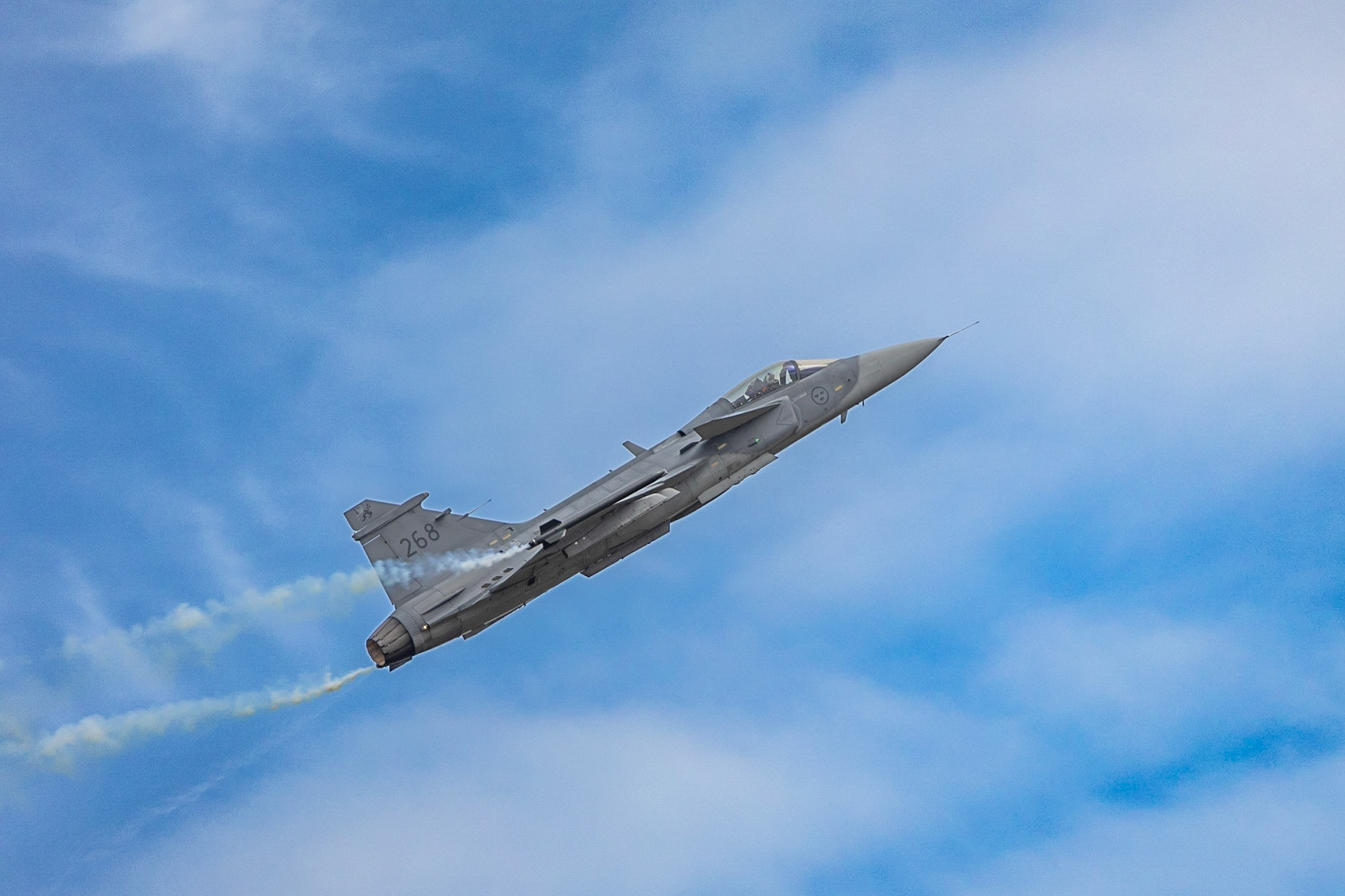 © 2023 Billy Hodgkins Photography All rights reserved.