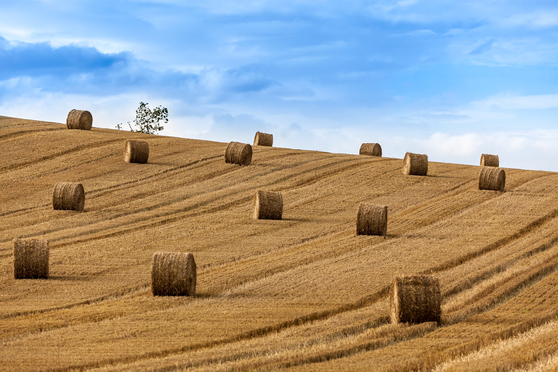 © 2017 Billy Hodgkins Photography All rights reserved.