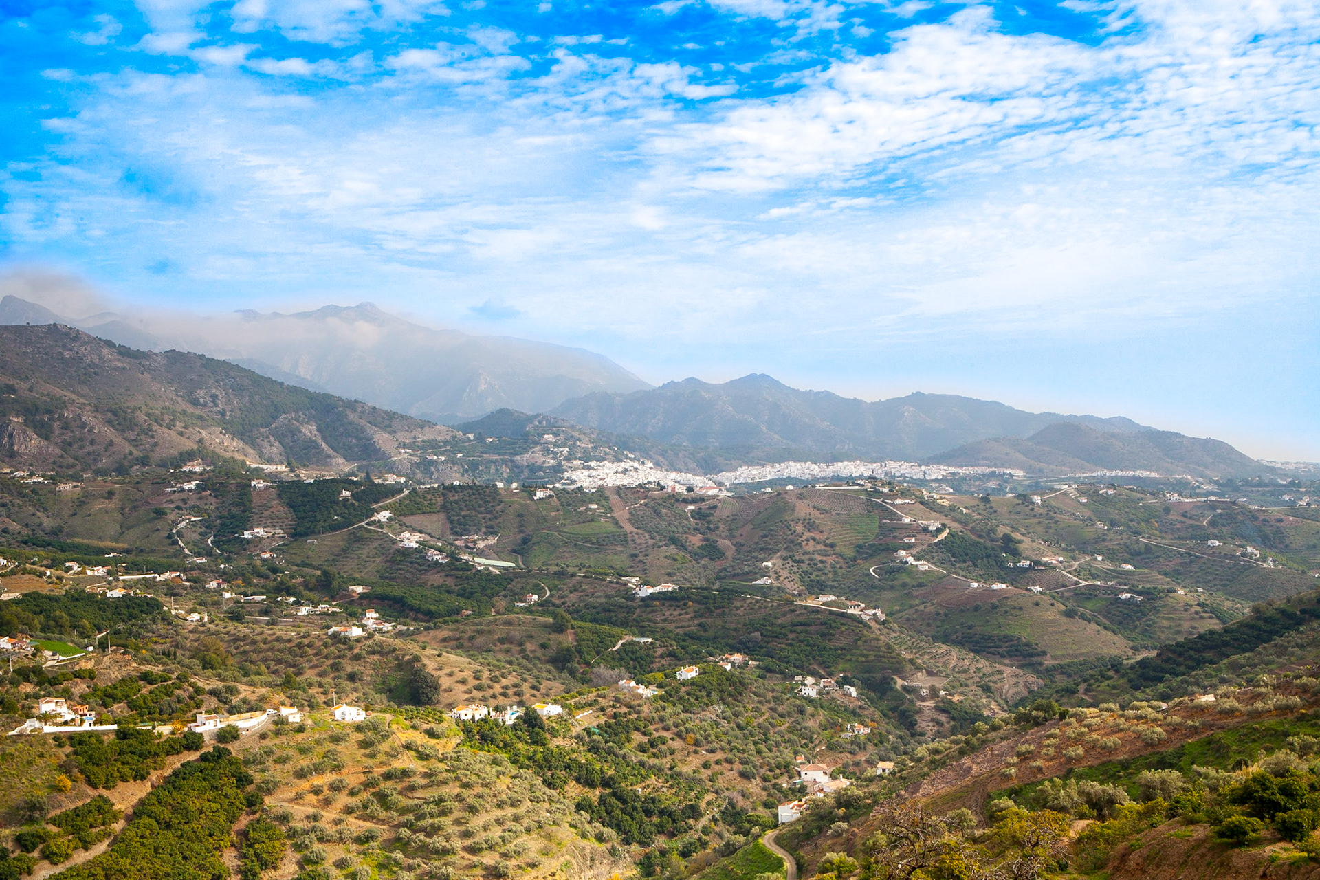 © 2015 Billy Hodgkins Photography All rights reserved.