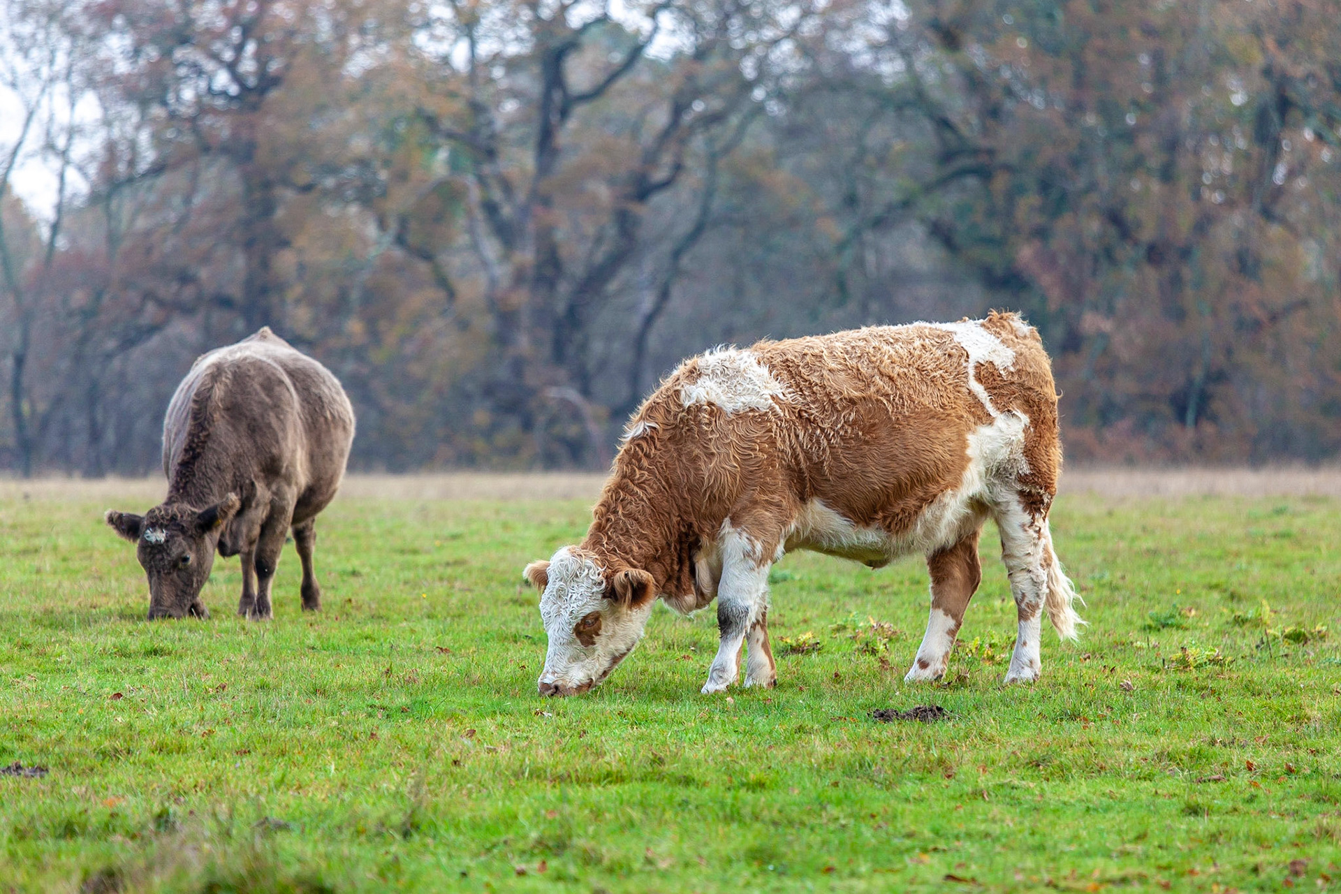 © 2018 Billy Hodgkins Photography All rights reserved.