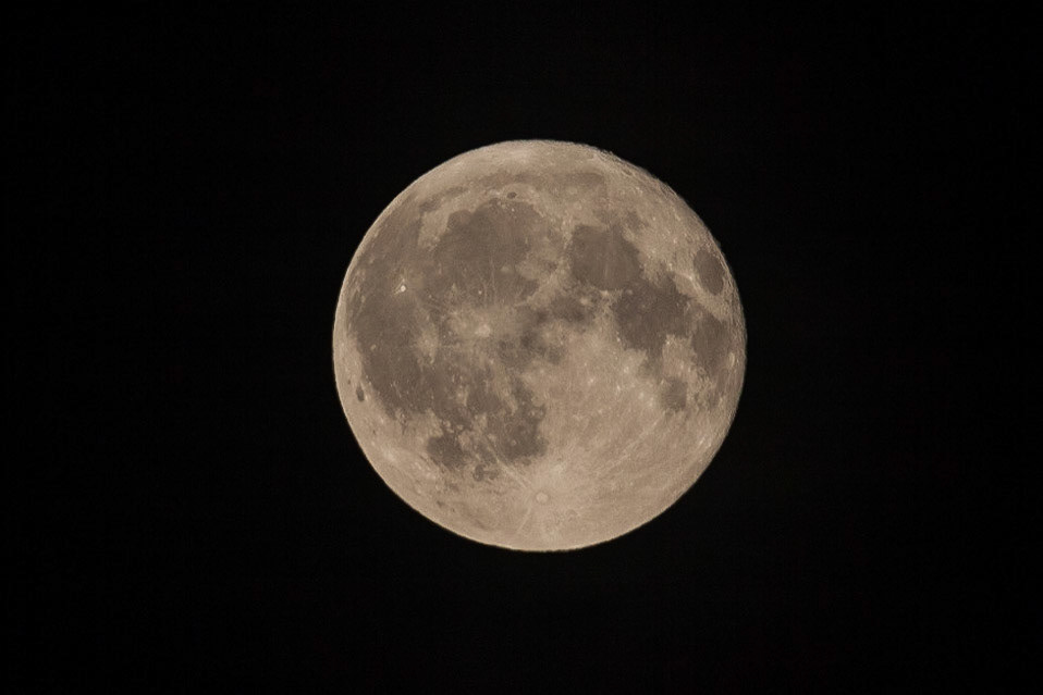 © 2017 Billy Hodgkins Photography All rights reserved.