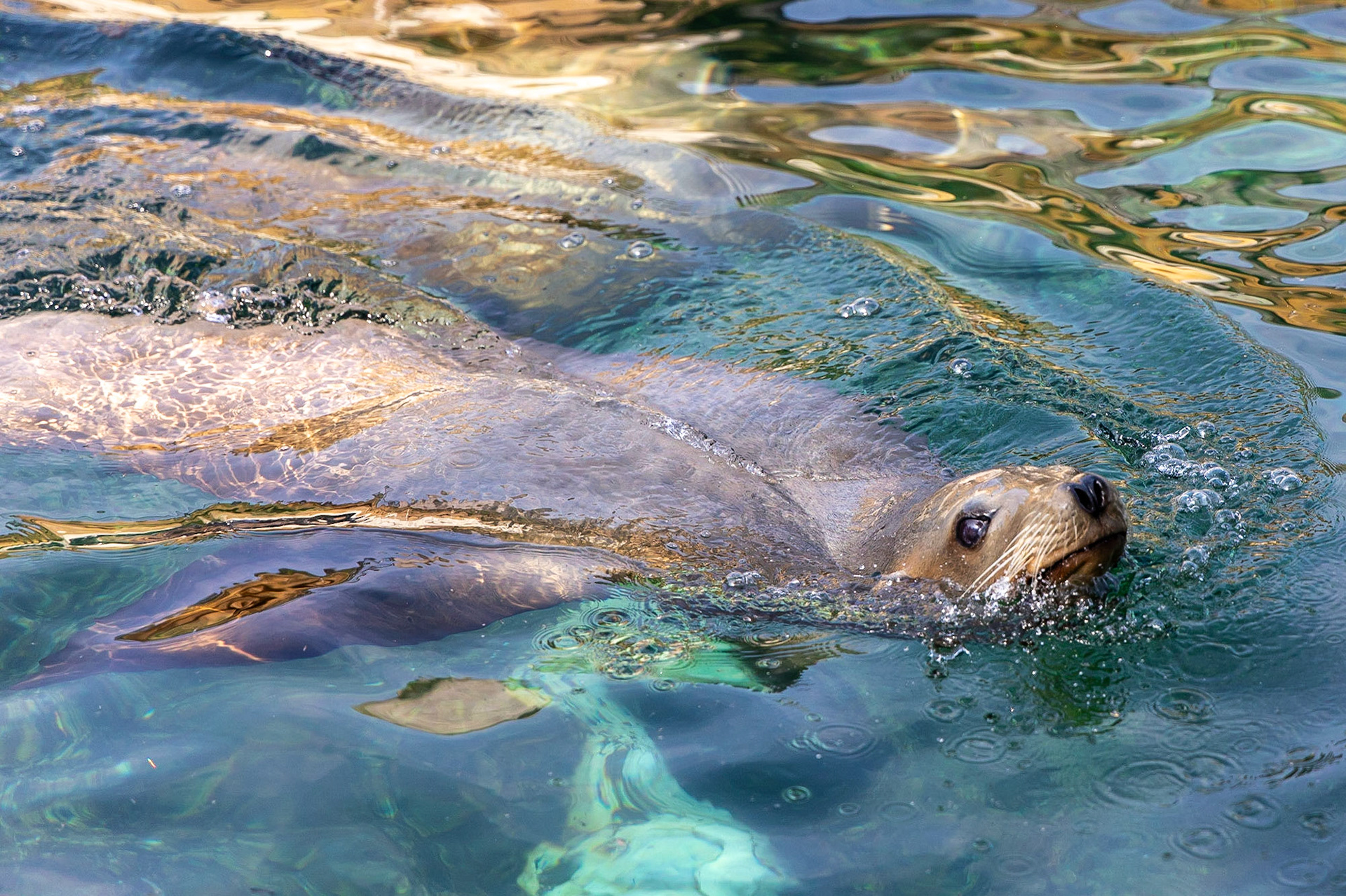 © 2023 Billy Hodgkins Photography All rights reserved.