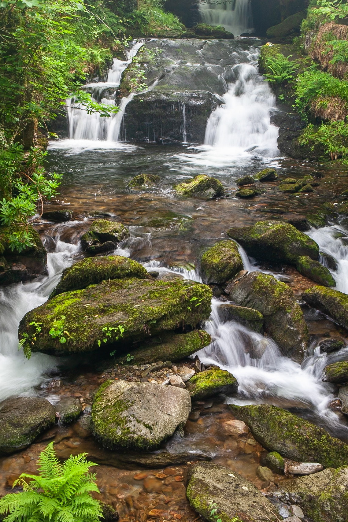 © 2020 Billy Hodgkins Photography All rights reserved.