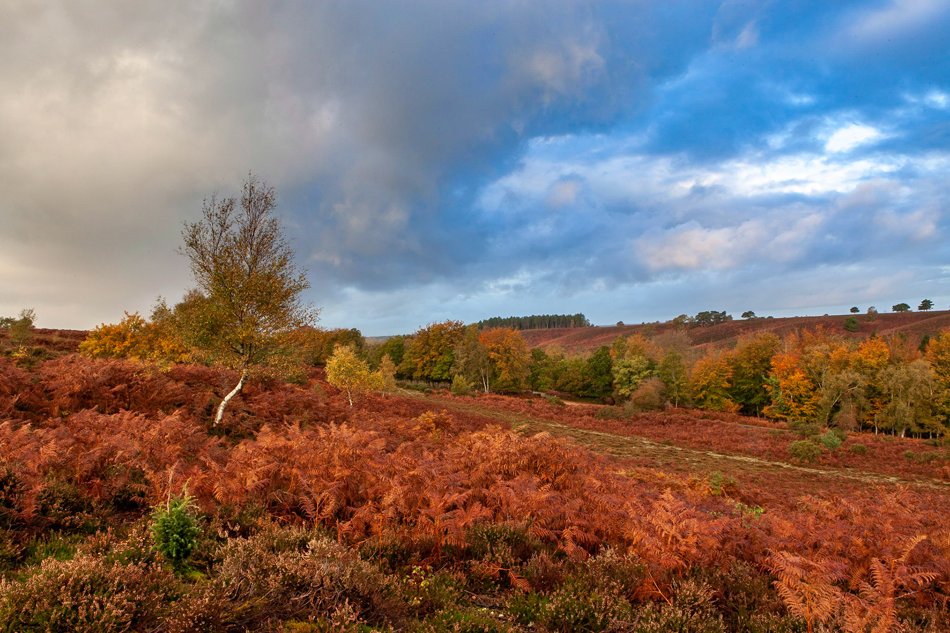 © 2020 Billy Hodgkins Photography All rights reserved.