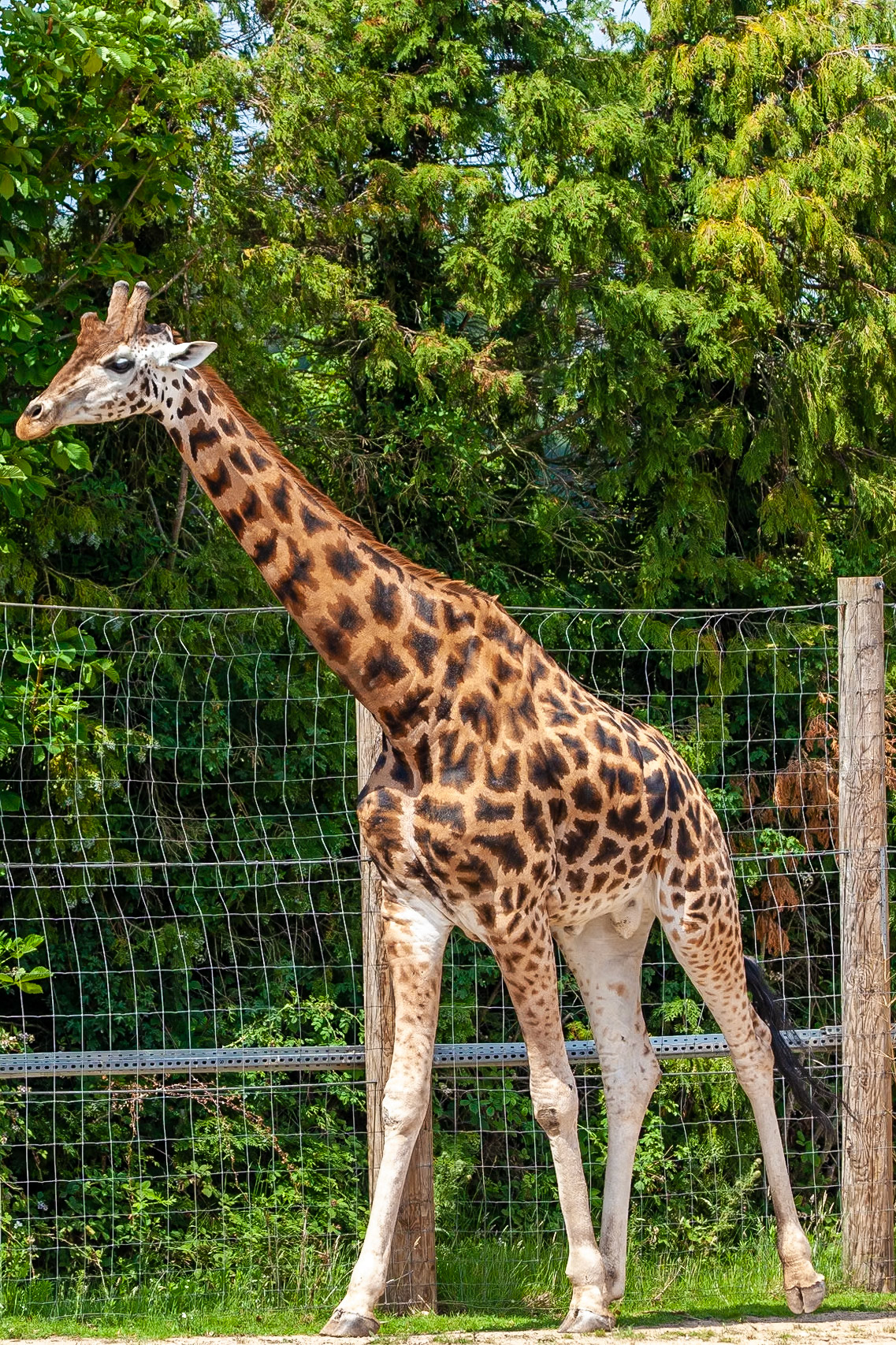 © 2020 Billy Hodgkins Photography All rights reserved.