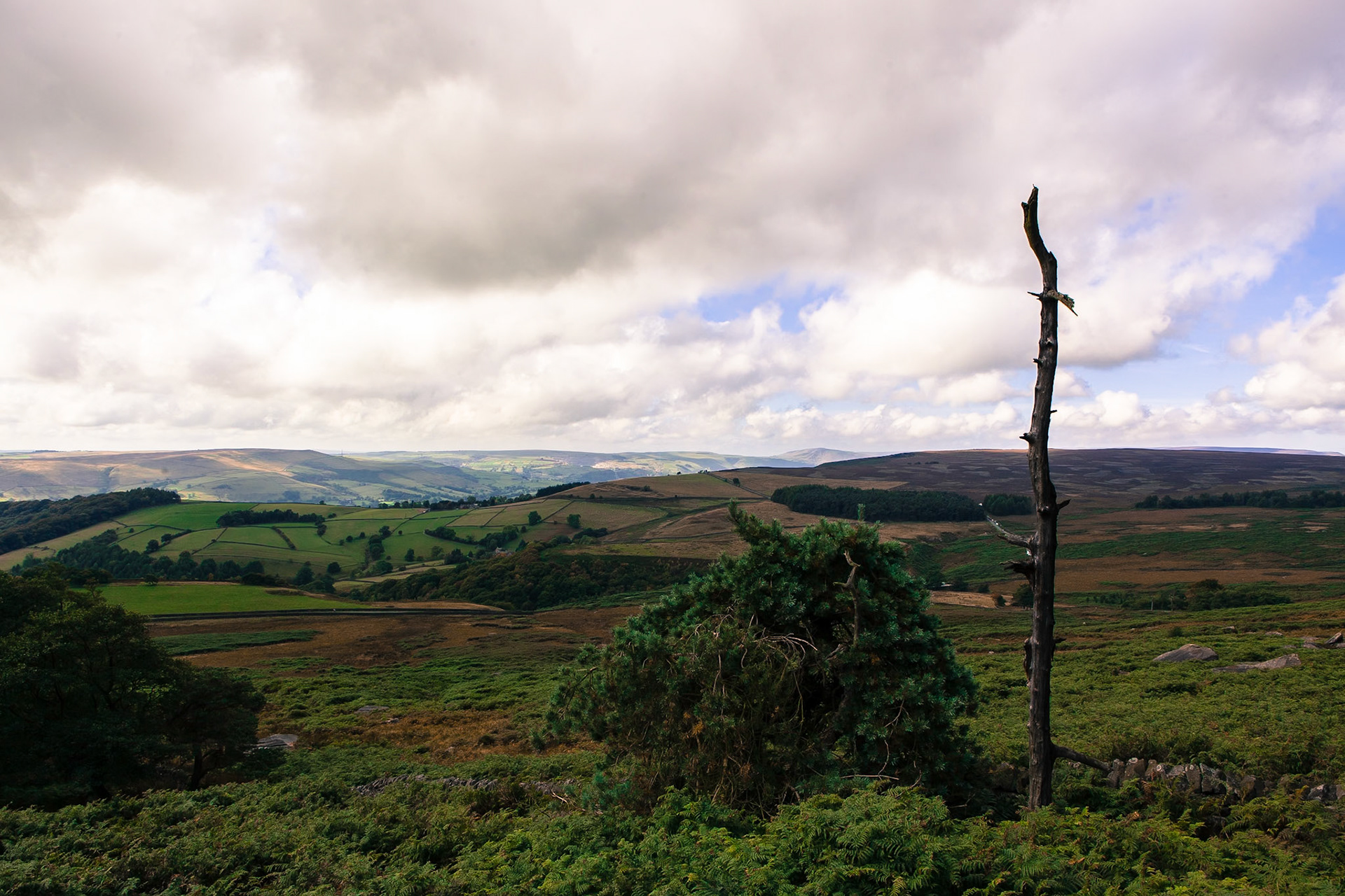 © 2015 Billy Hodgkins Photography All rights reserved.