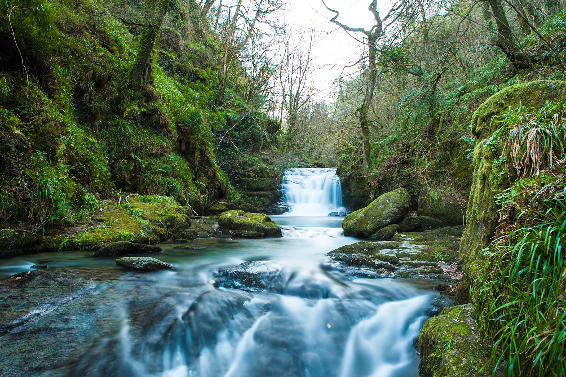 © 2016 Billy Hodgkins Photography All rights reserved.