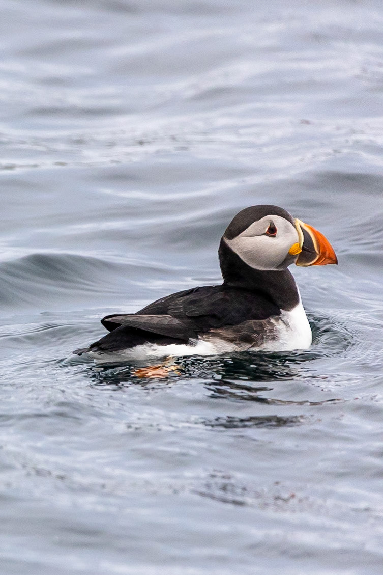 © 2023 Billy Hodgkins Photography All rights reserved.