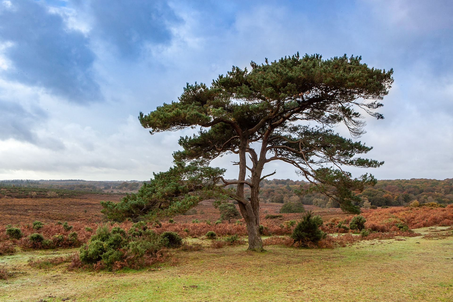 © 2020 Billy Hodgkins Photography All rights reserved.