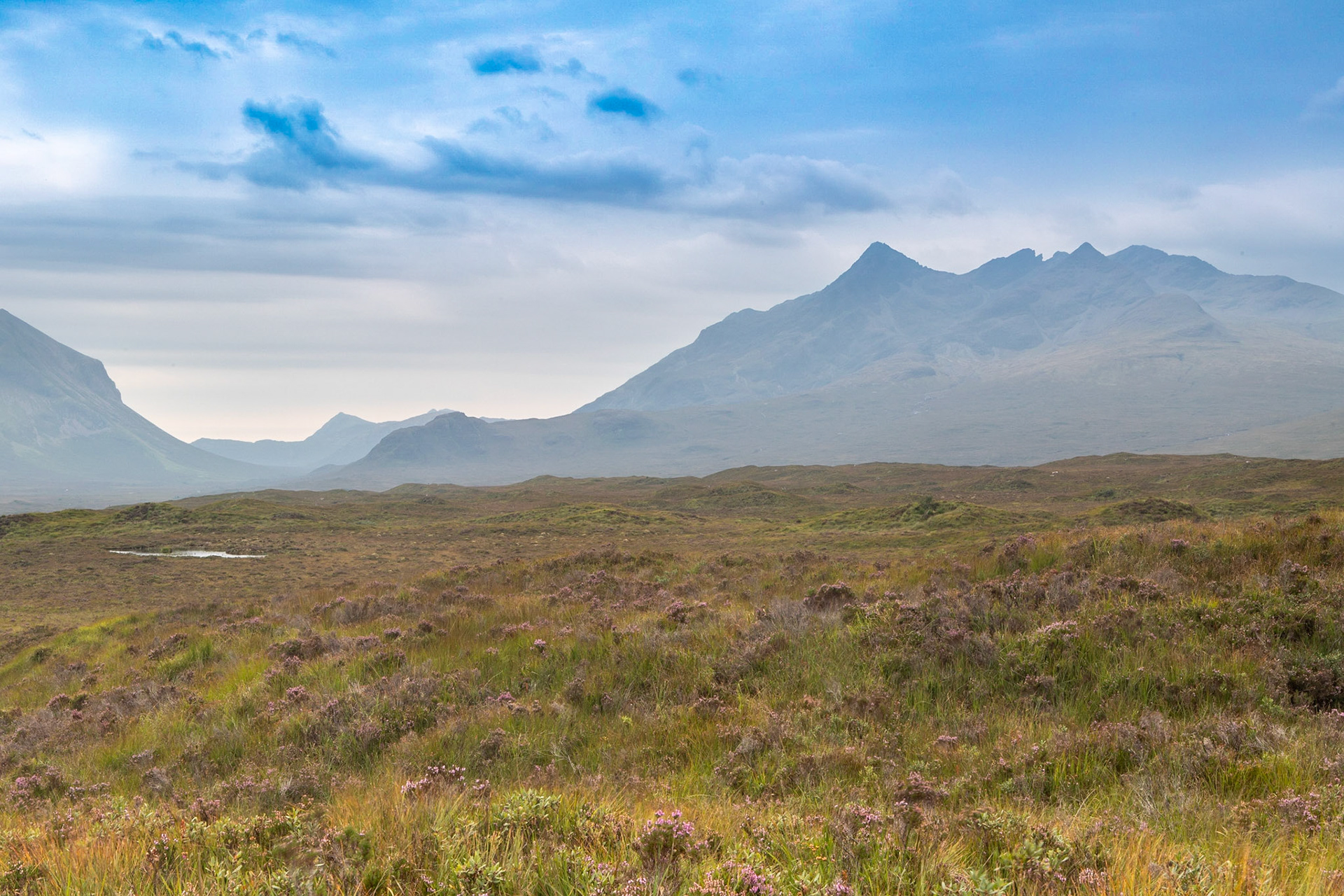 © 2021 Billy Hodgkins Photography All rights reserved.