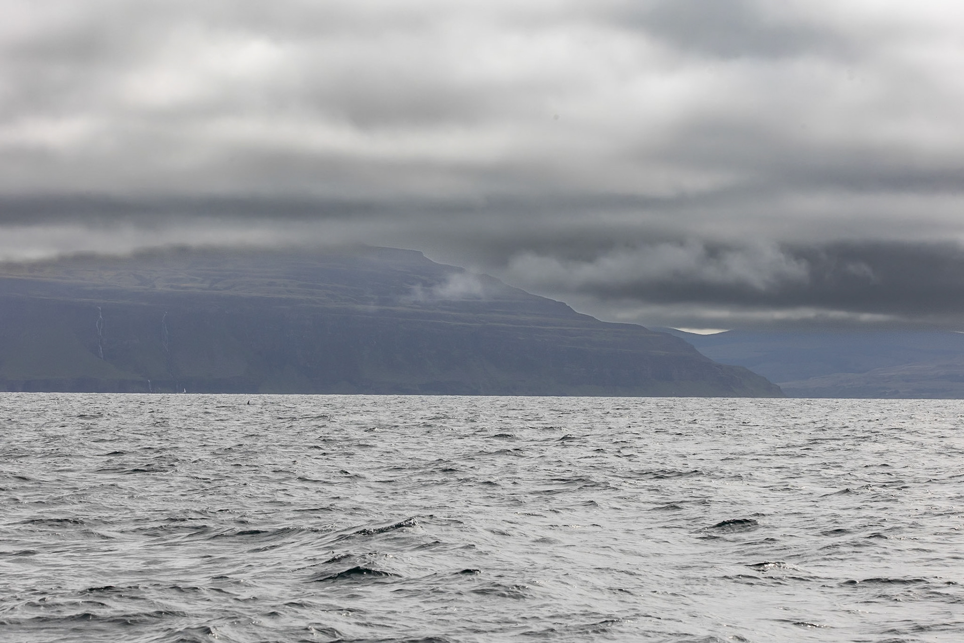 © 2023 Billy Hodgkins Photography All rights reserved.