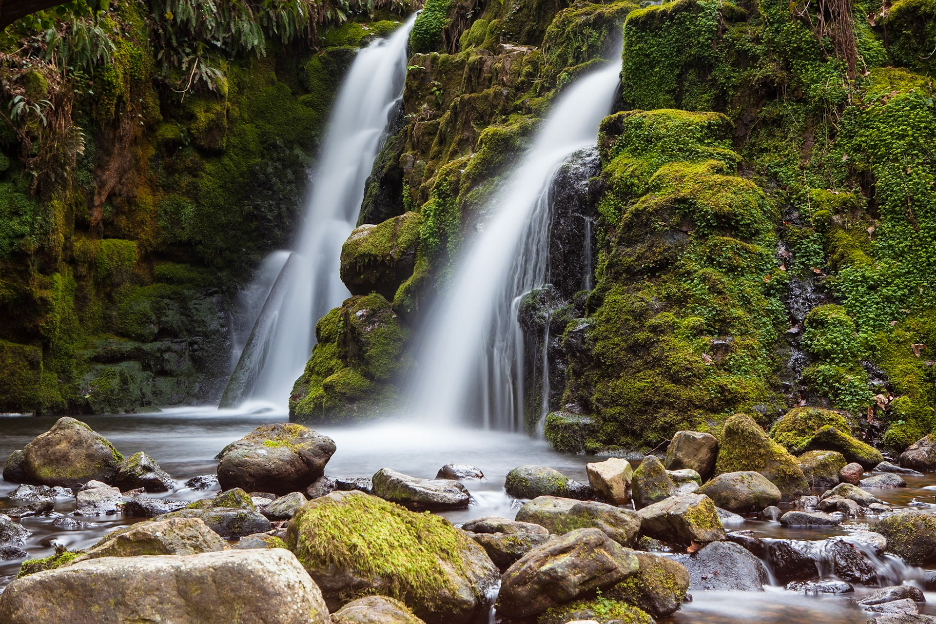 © 2017 Billy Hodgkins Photography All rights reserved.