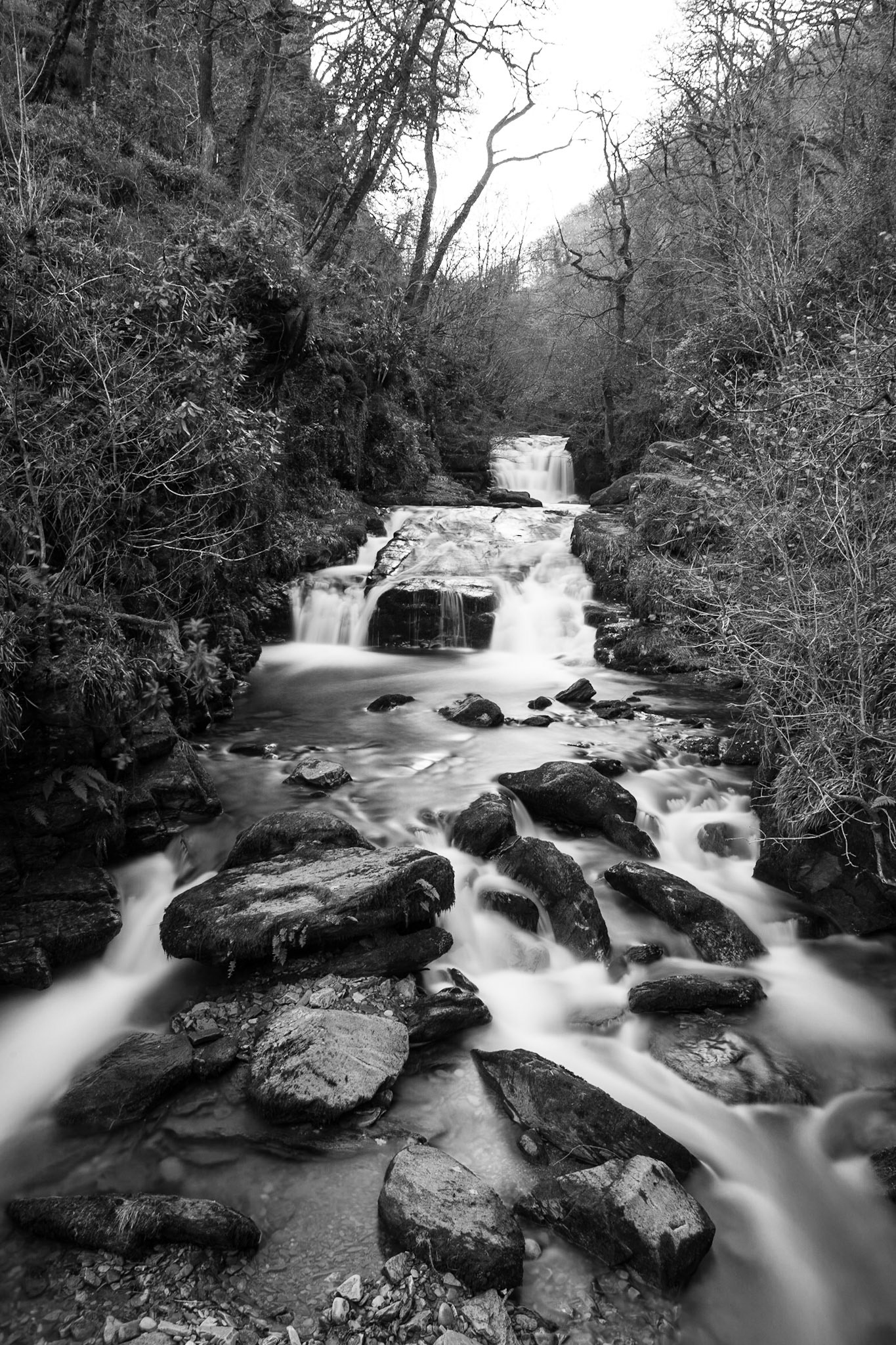 © 2016 Billy Hodgkins Photography All rights reserved.