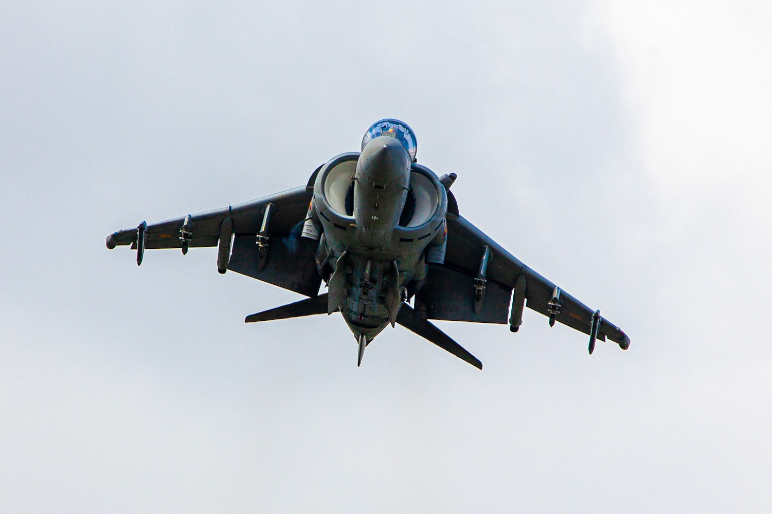 © 2019 Billy Hodgkins Photography All rights reserved.