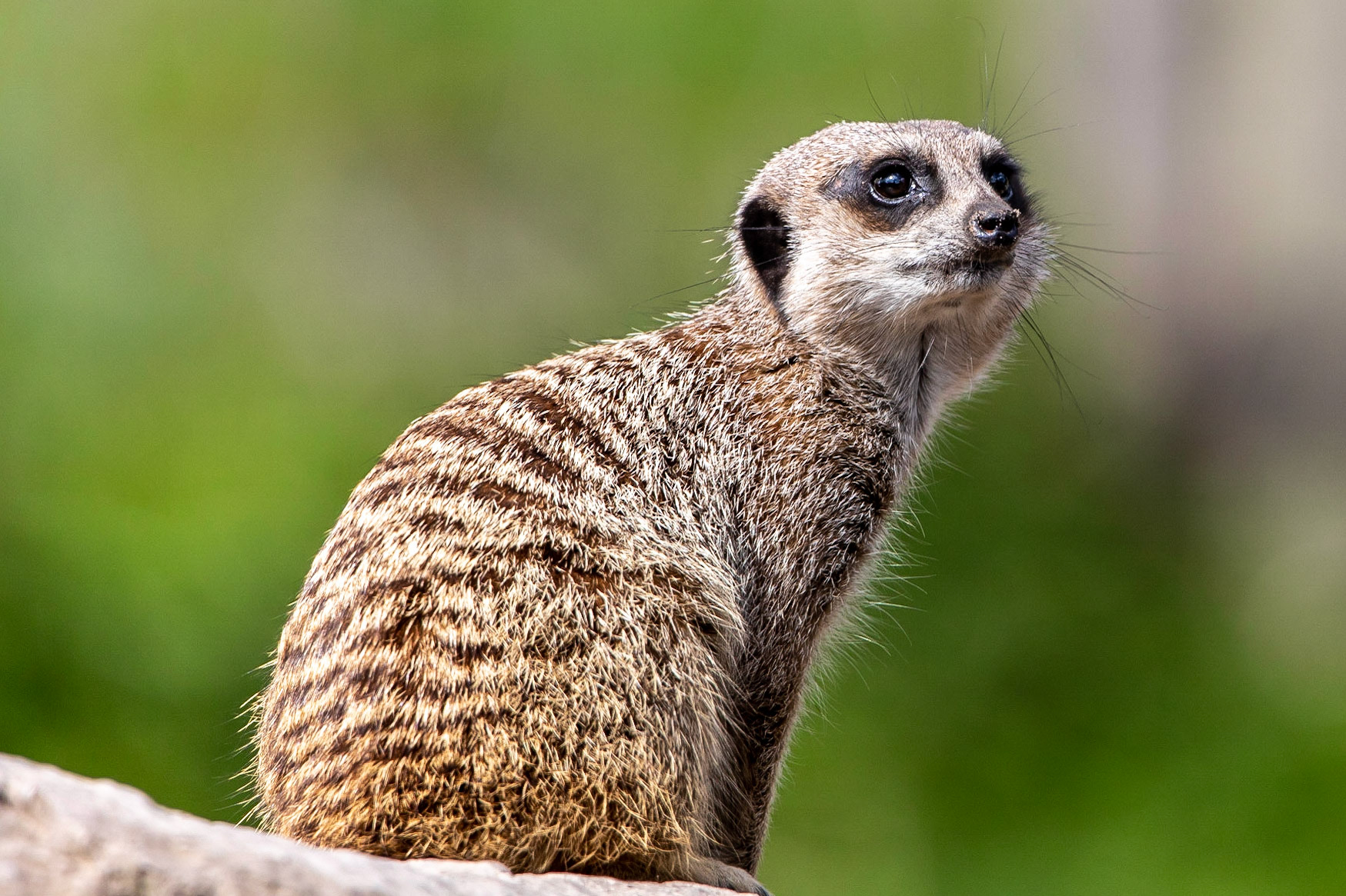 © 2021 Billy Hodgkins Photography All rights reserved.