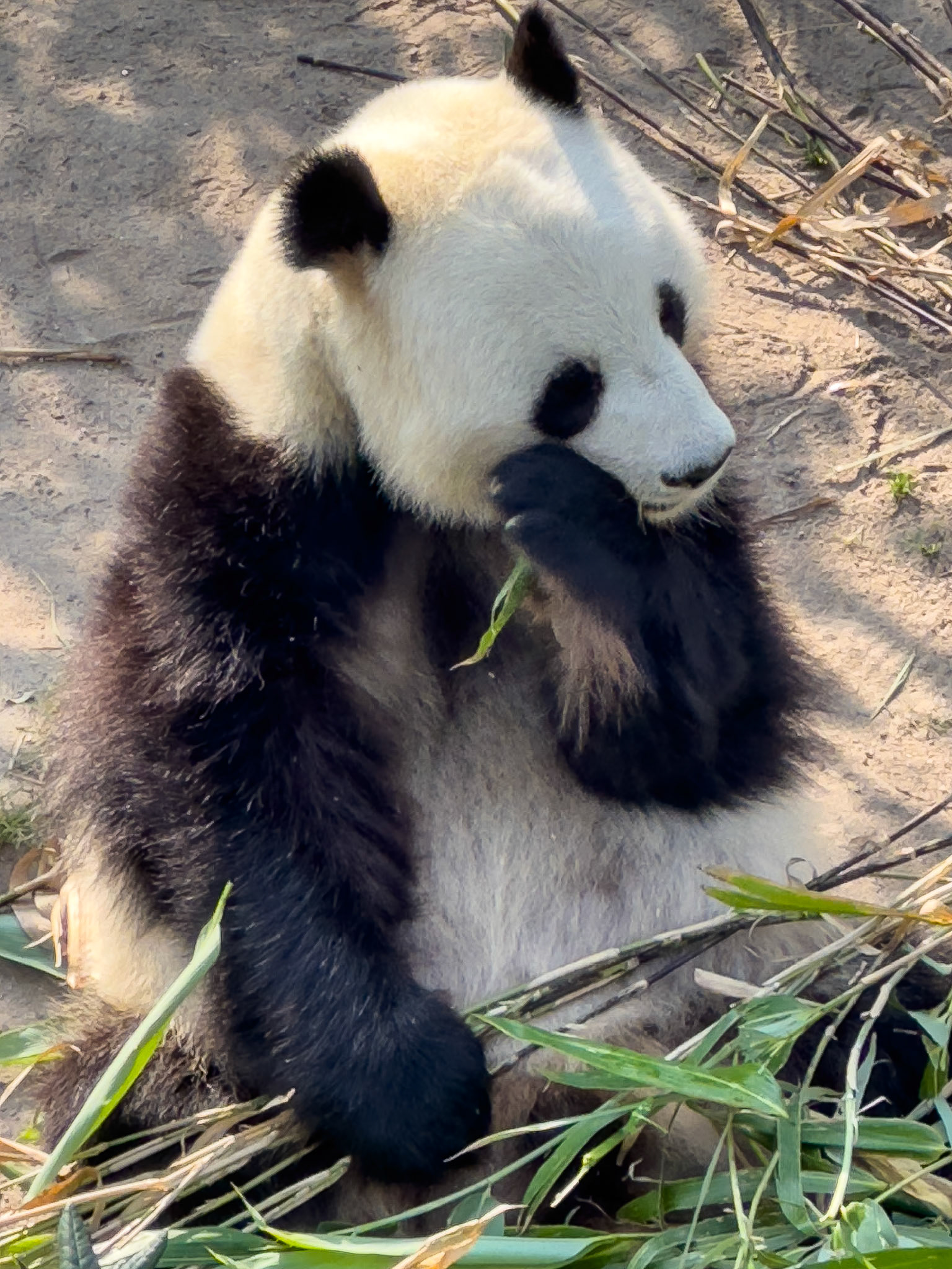 © 2023 Billy Hodgkins Photography All rights reserved.