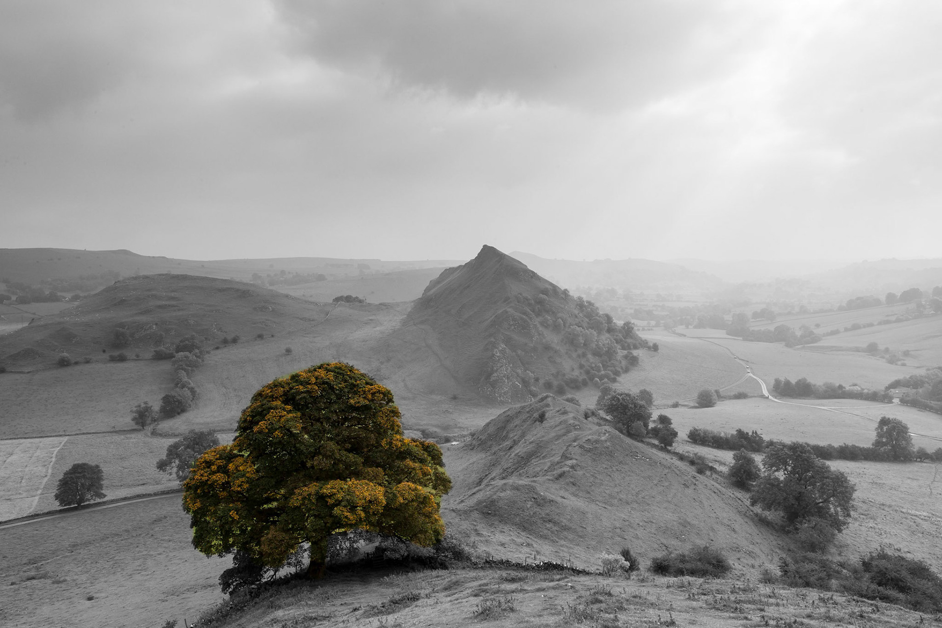 © 2015 Billy Hodgkins Photography All rights reserved.