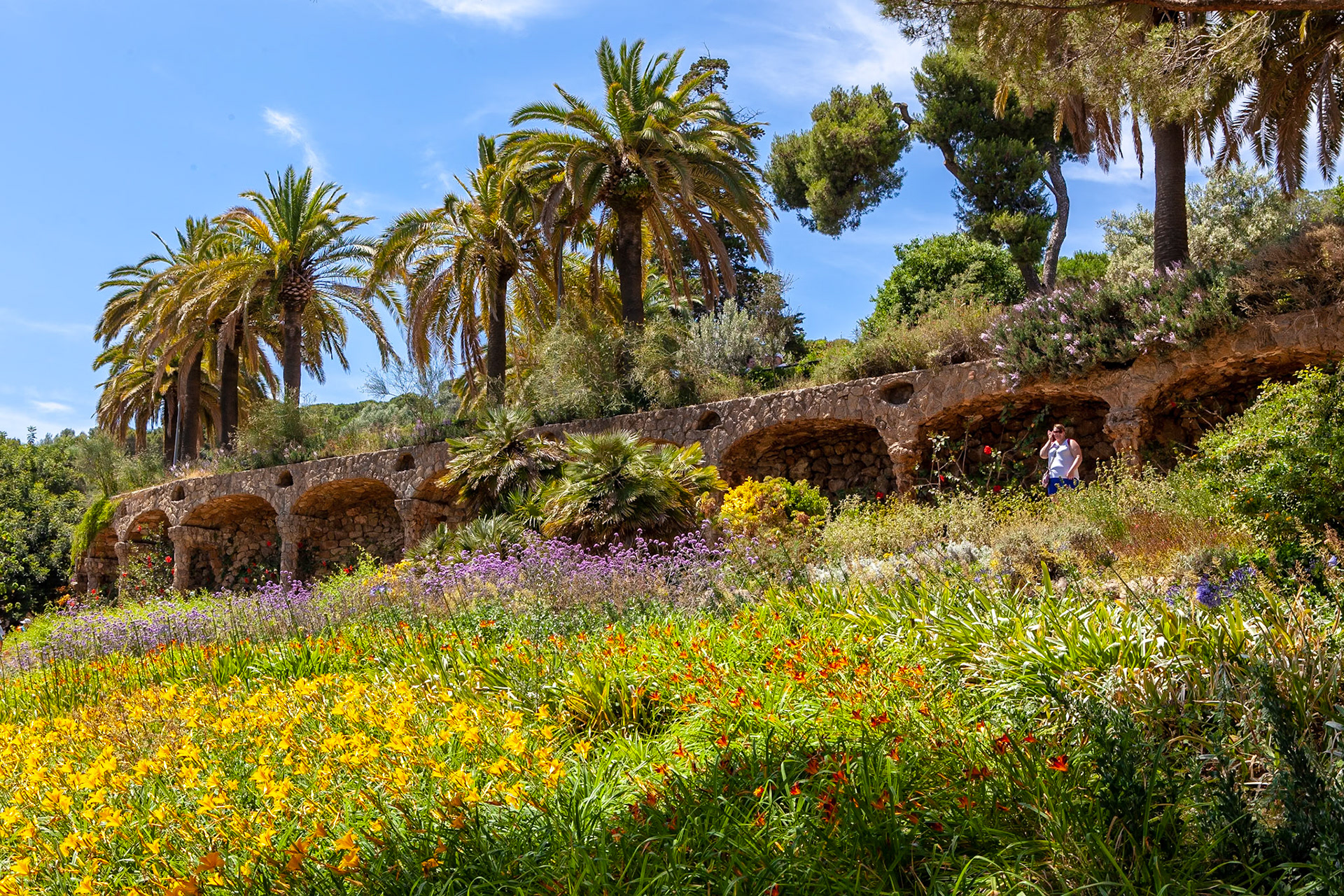 © 2018 Billy Hodgkins Photography All rights reserved.