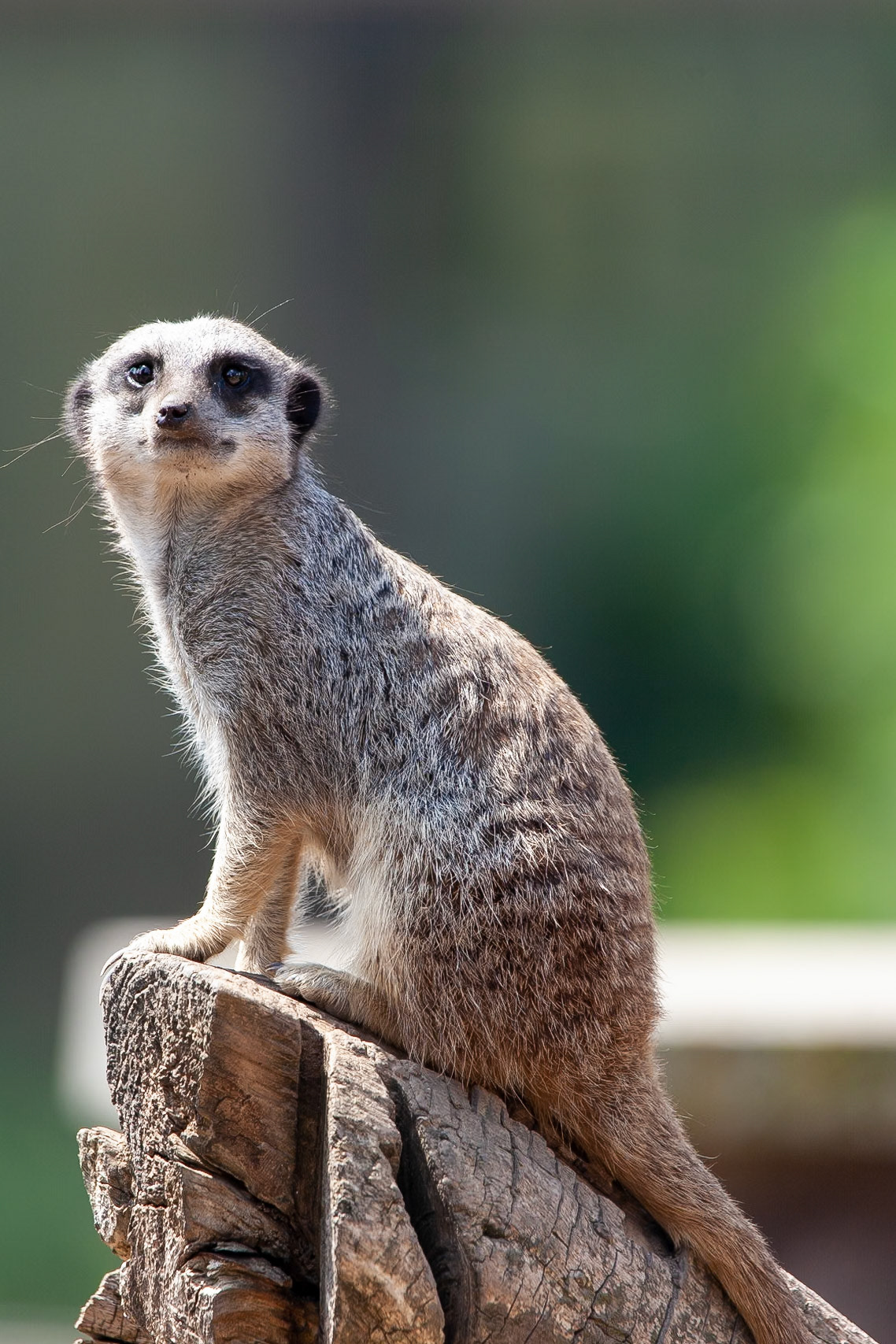 © 2020 Billy Hodgkins Photography All rights reserved.