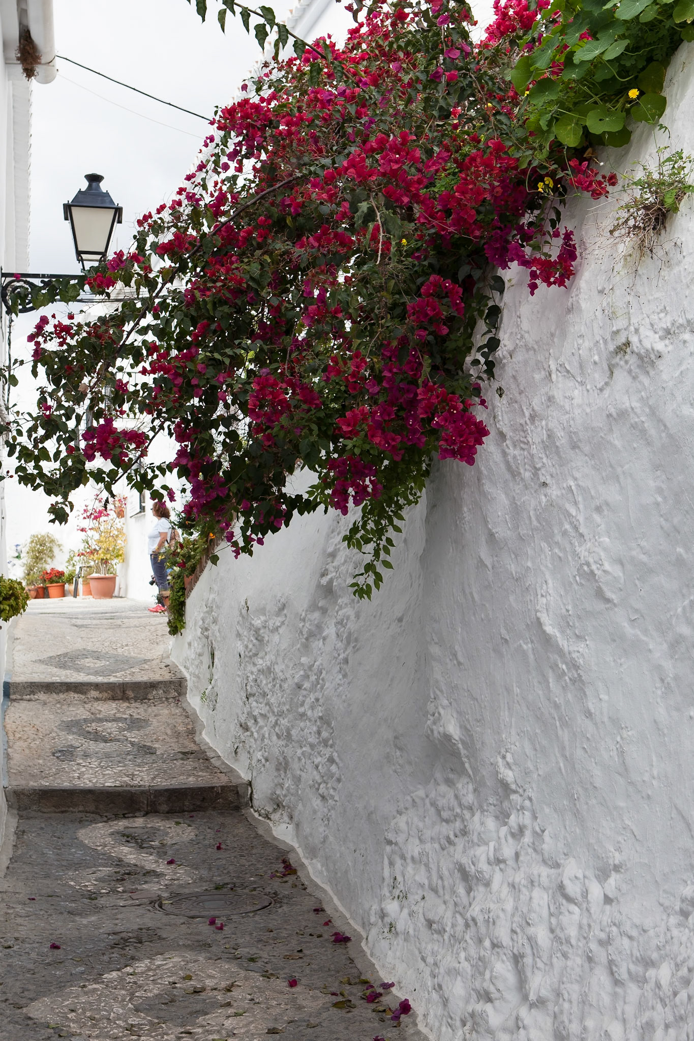 © 2015 Billy Hodgkins Photography All rights reserved.