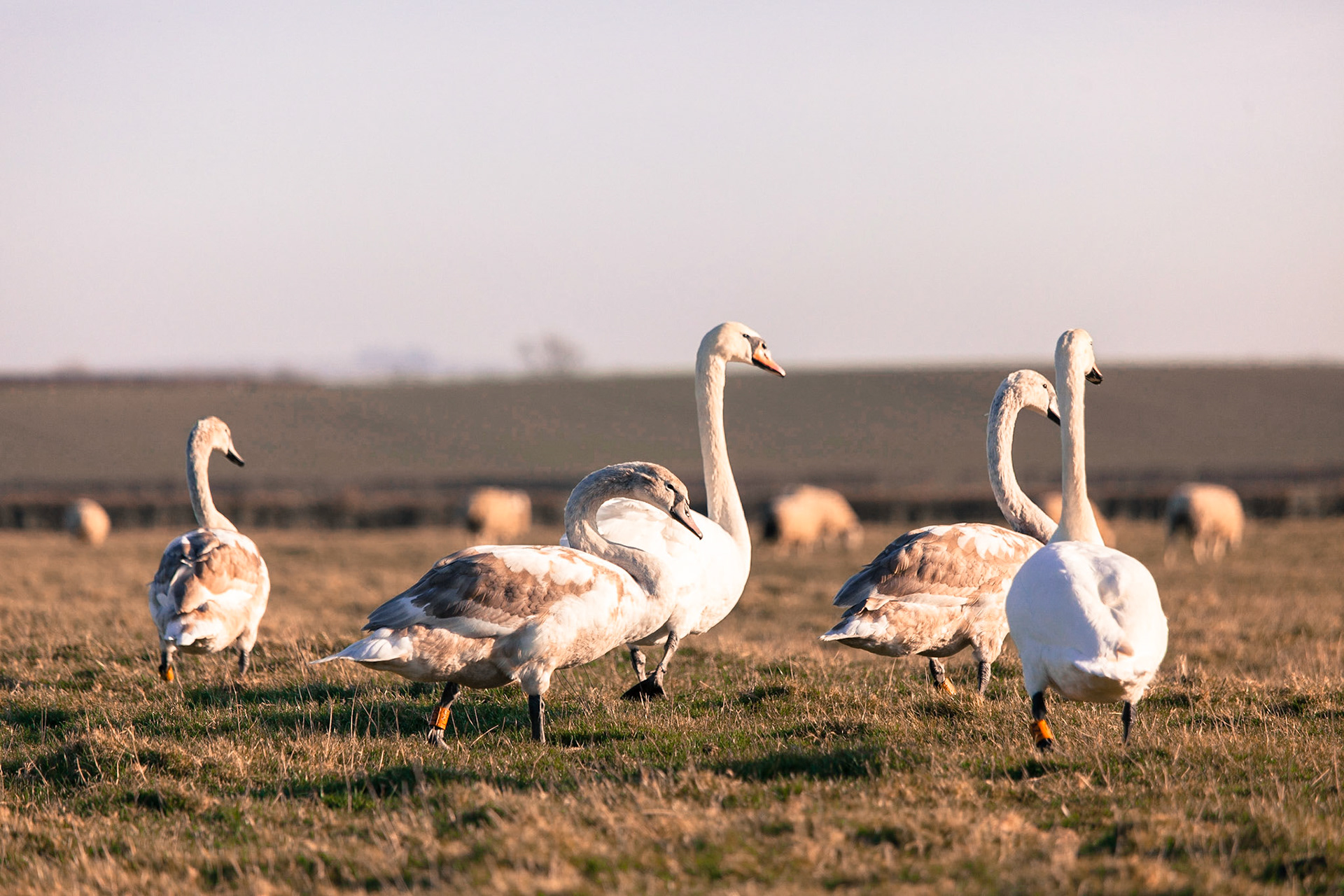 © 2015 Billy Hodgkins Photography All rights reserved.