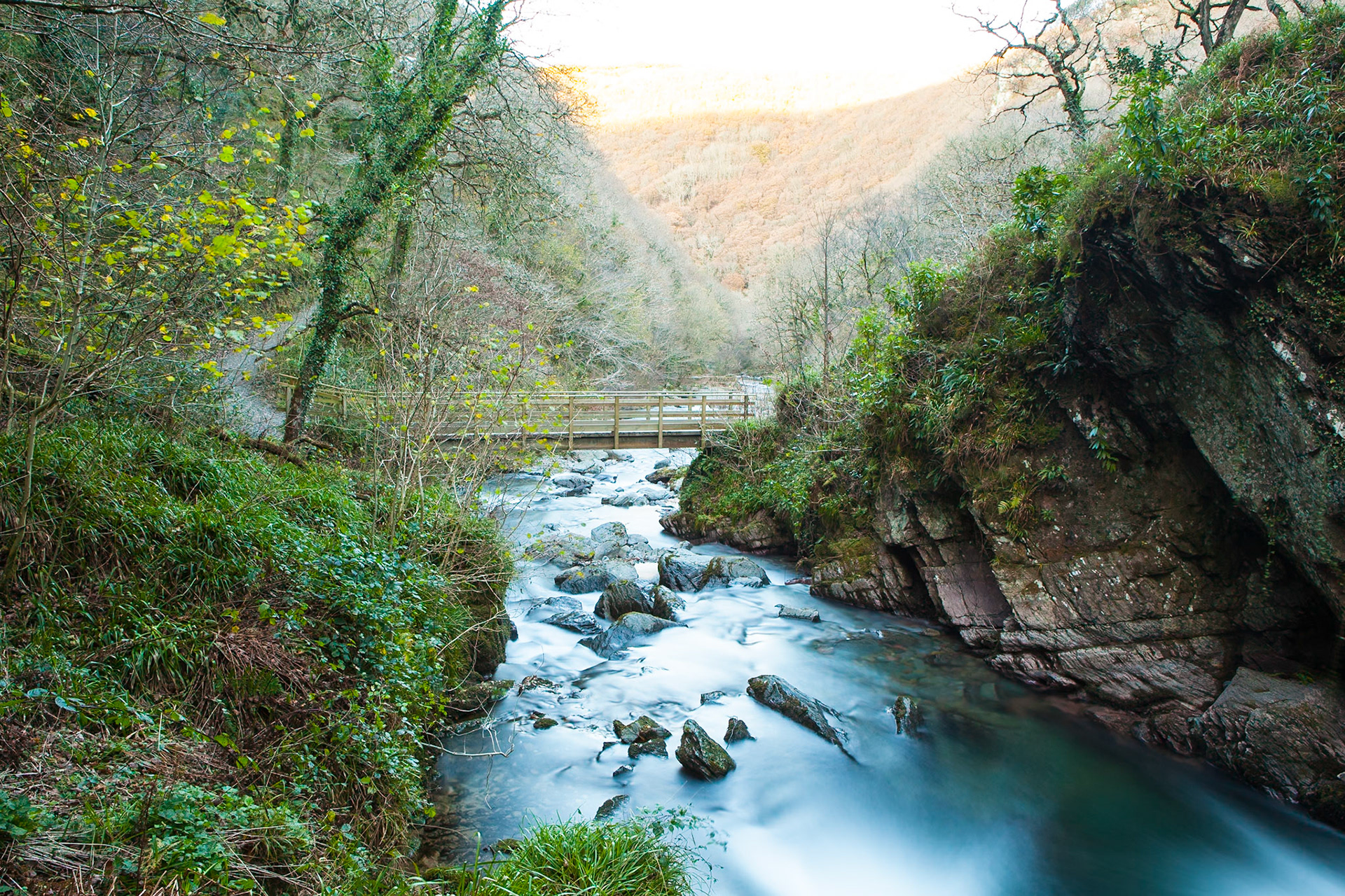 © 2016 Billy Hodgkins Photography All rights reserved.