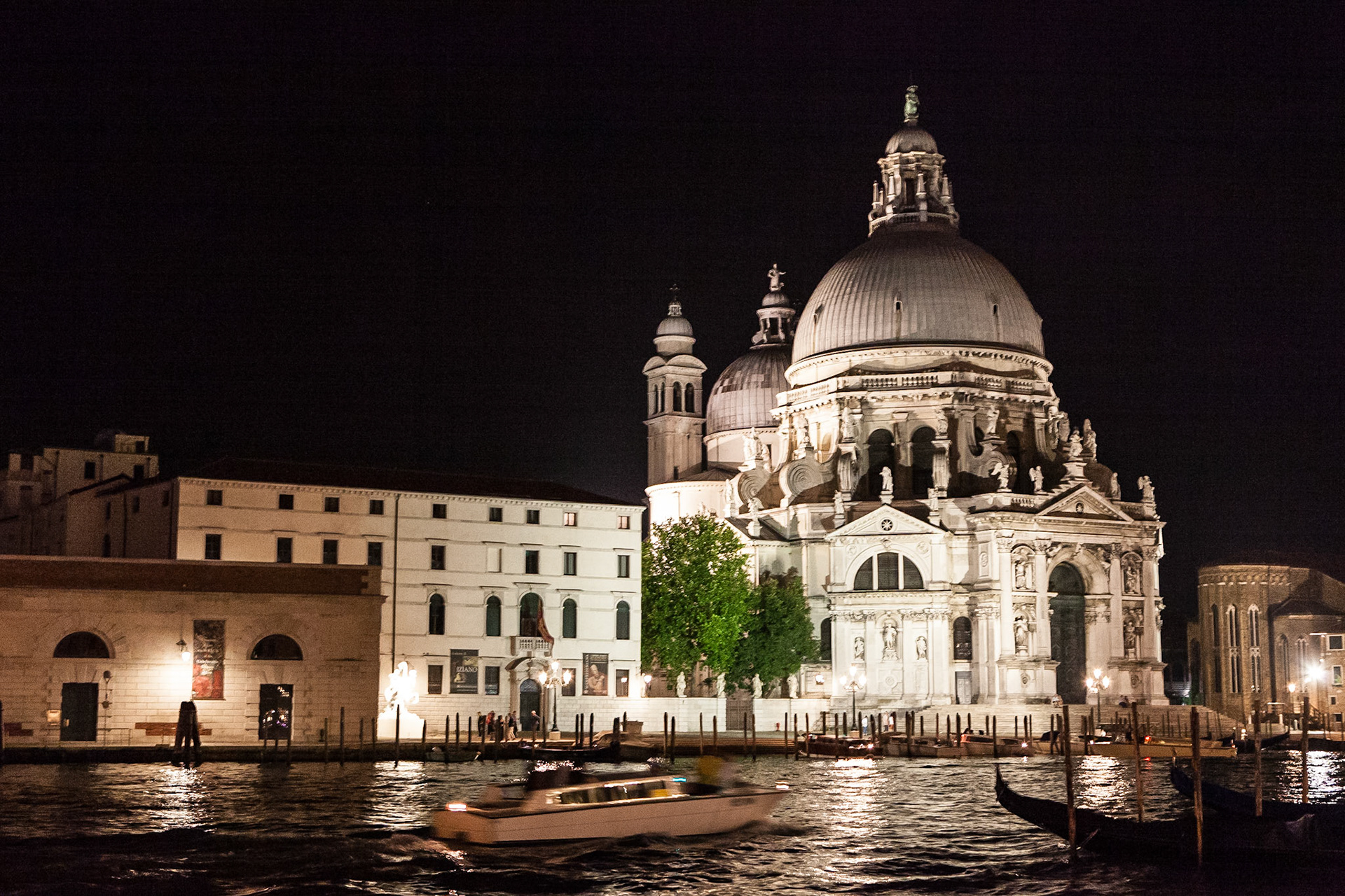 © 2017 Billy Hodgkins Photography All rights reserved.