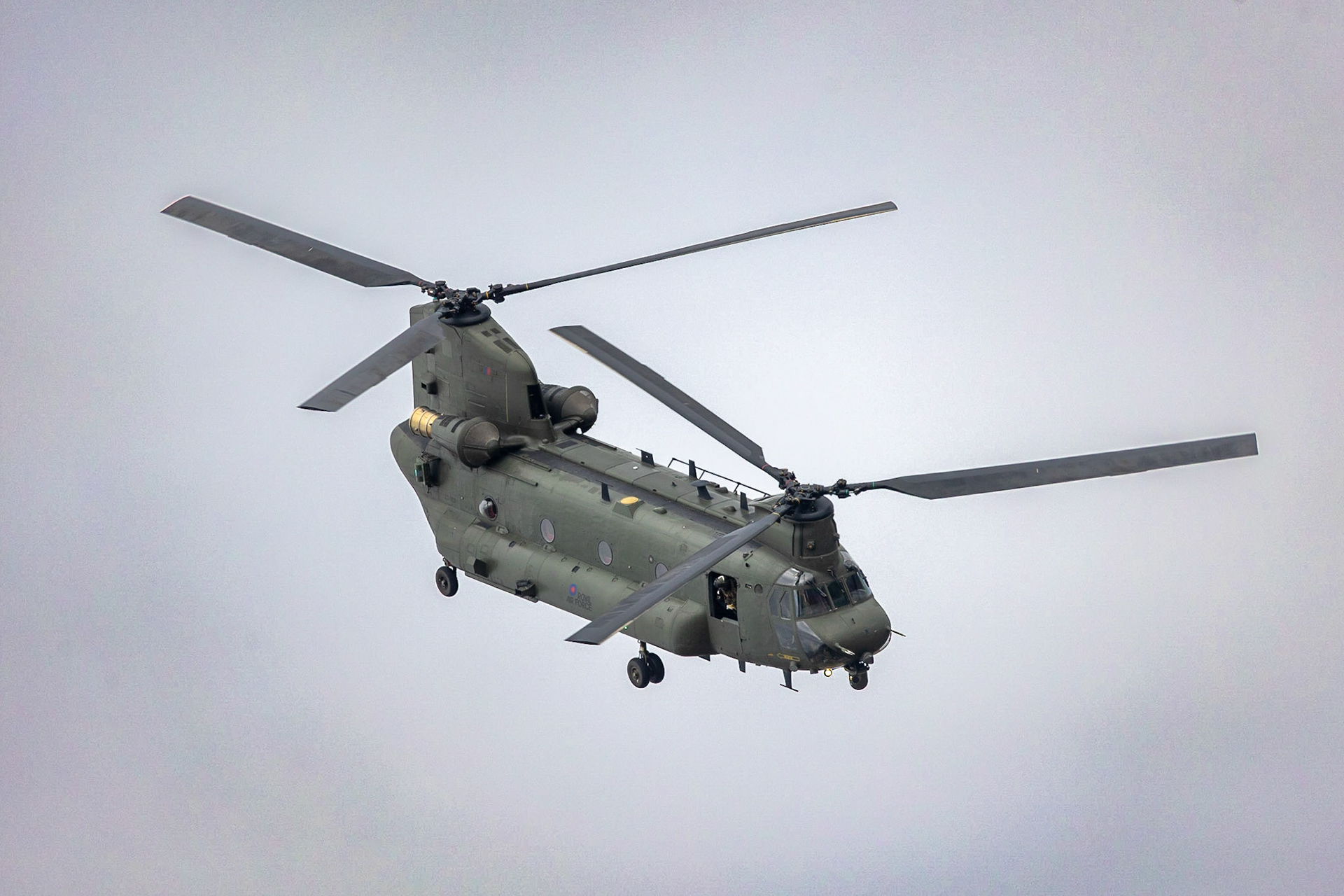 © 2023 Billy Hodgkins Photography All rights reserved.