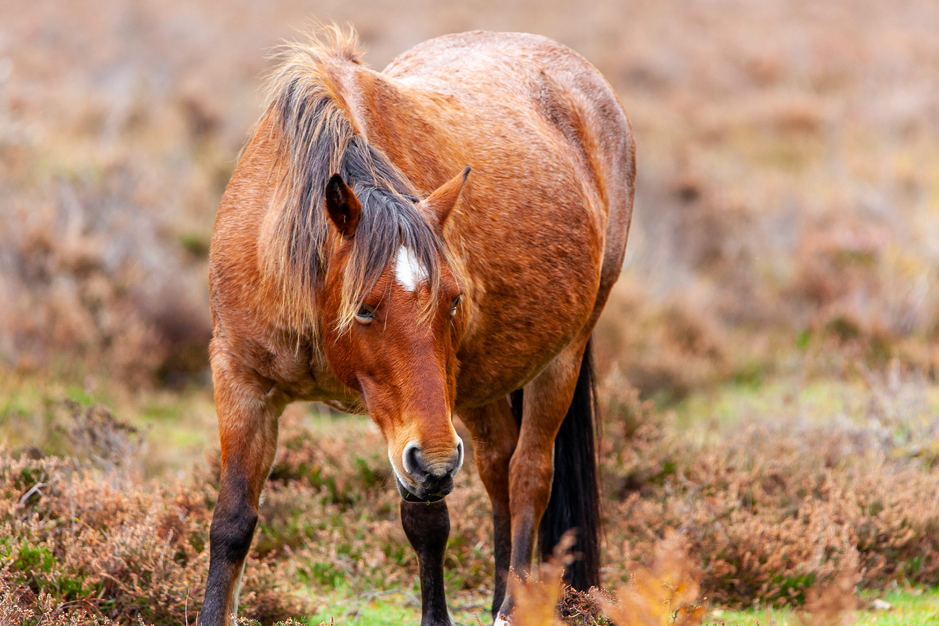 © 2020 Billy Hodgkins Photography All rights reserved.