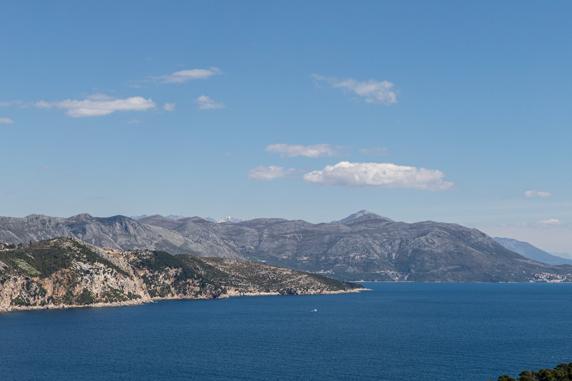 © 2022 Billy Hodgkins Photography All rights reserved.