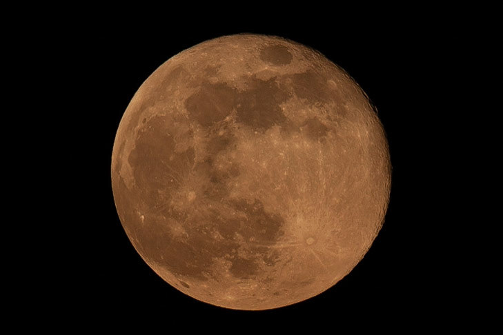 © 2020 Billy Hodgkins Photography All rights reserved.