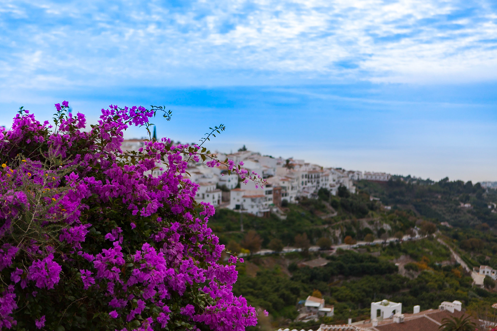 © 2015 Billy Hodgkins Photography All rights reserved.