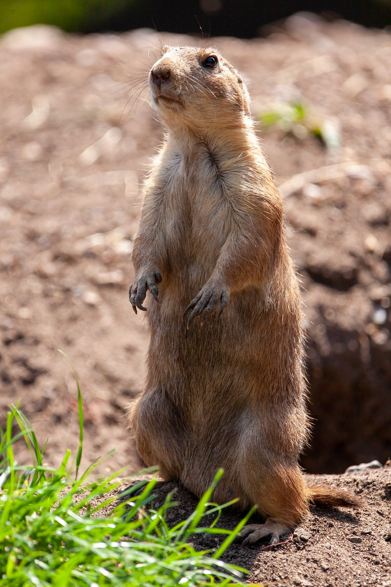 © 2020 Billy Hodgkins Photography All rights reserved.