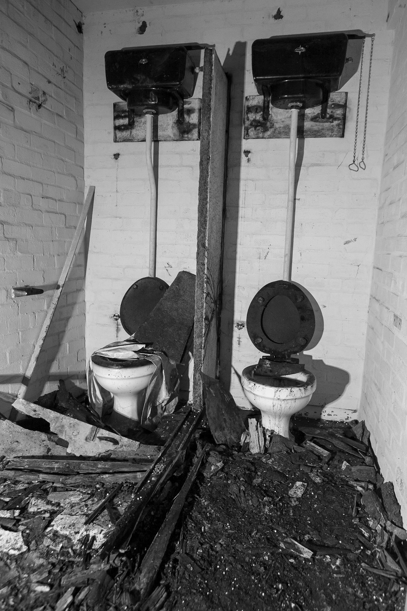 © 2019 Billy Hodgkins Photography All rights reserved.