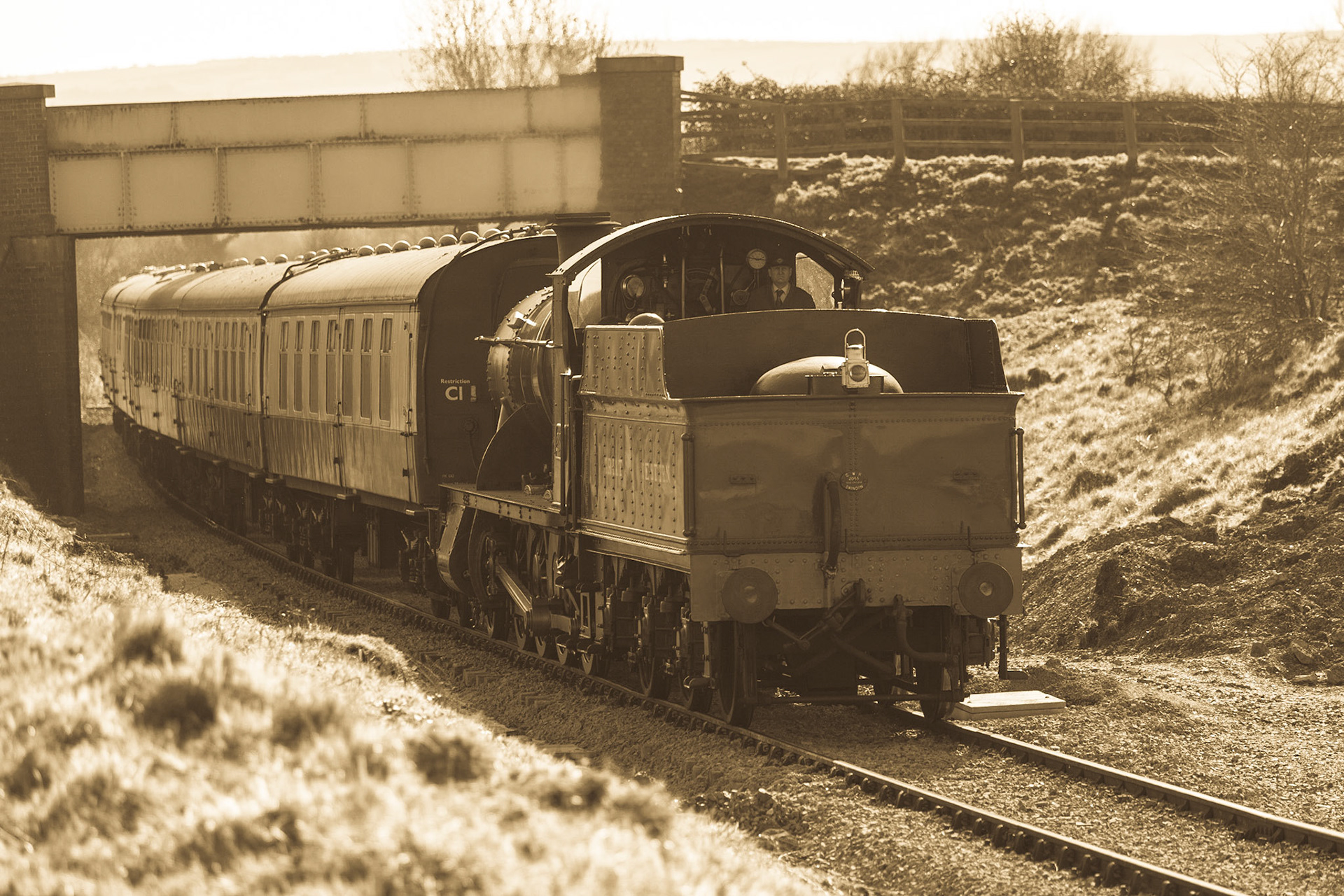 © 2016 Billy Hodgkins Photography All rights reserved.