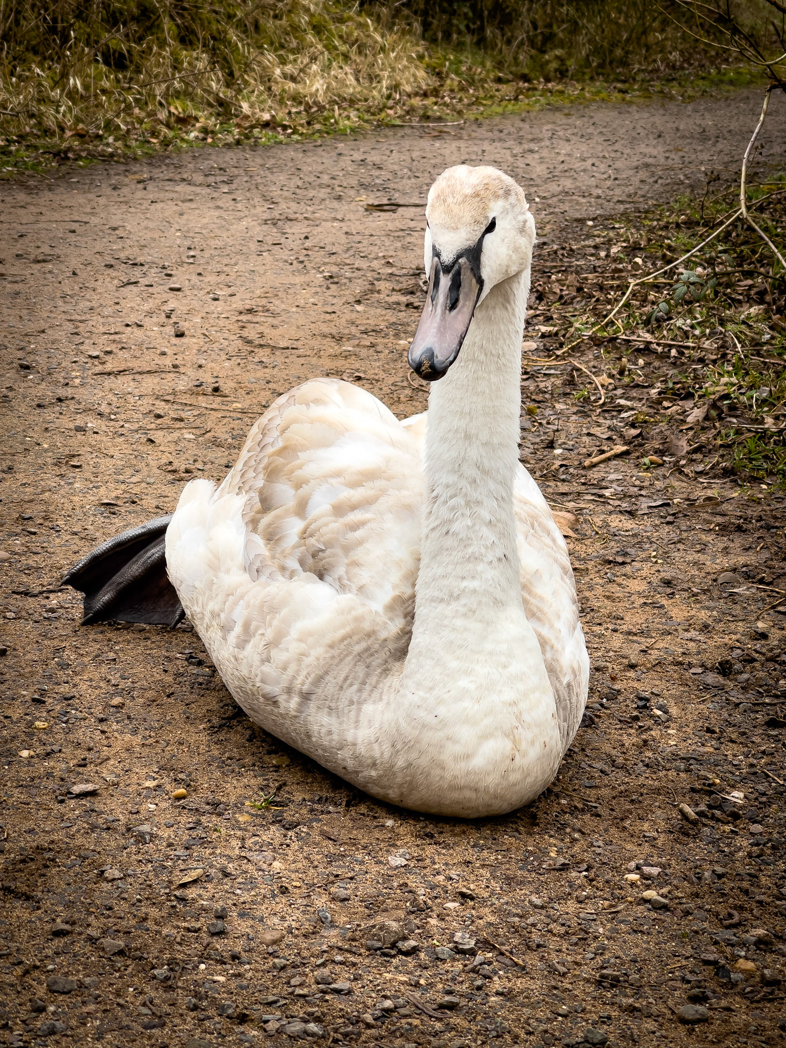 © 2021 Billy Hodgkins Photography All rights reserved.