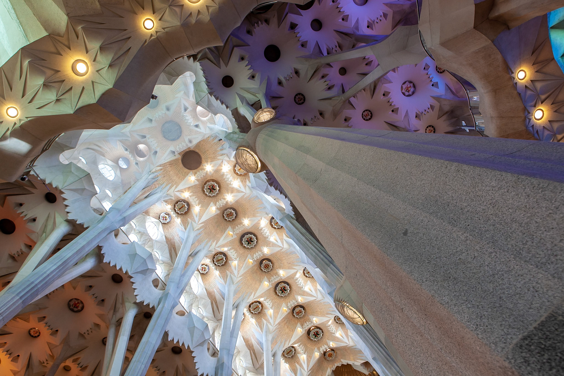 © 2018 Billy Hodgkins Photography All rights reserved.