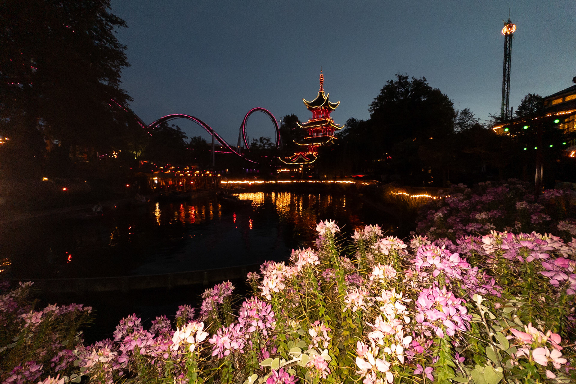 © 2023 Billy Hodgkins Photography All rights reserved.