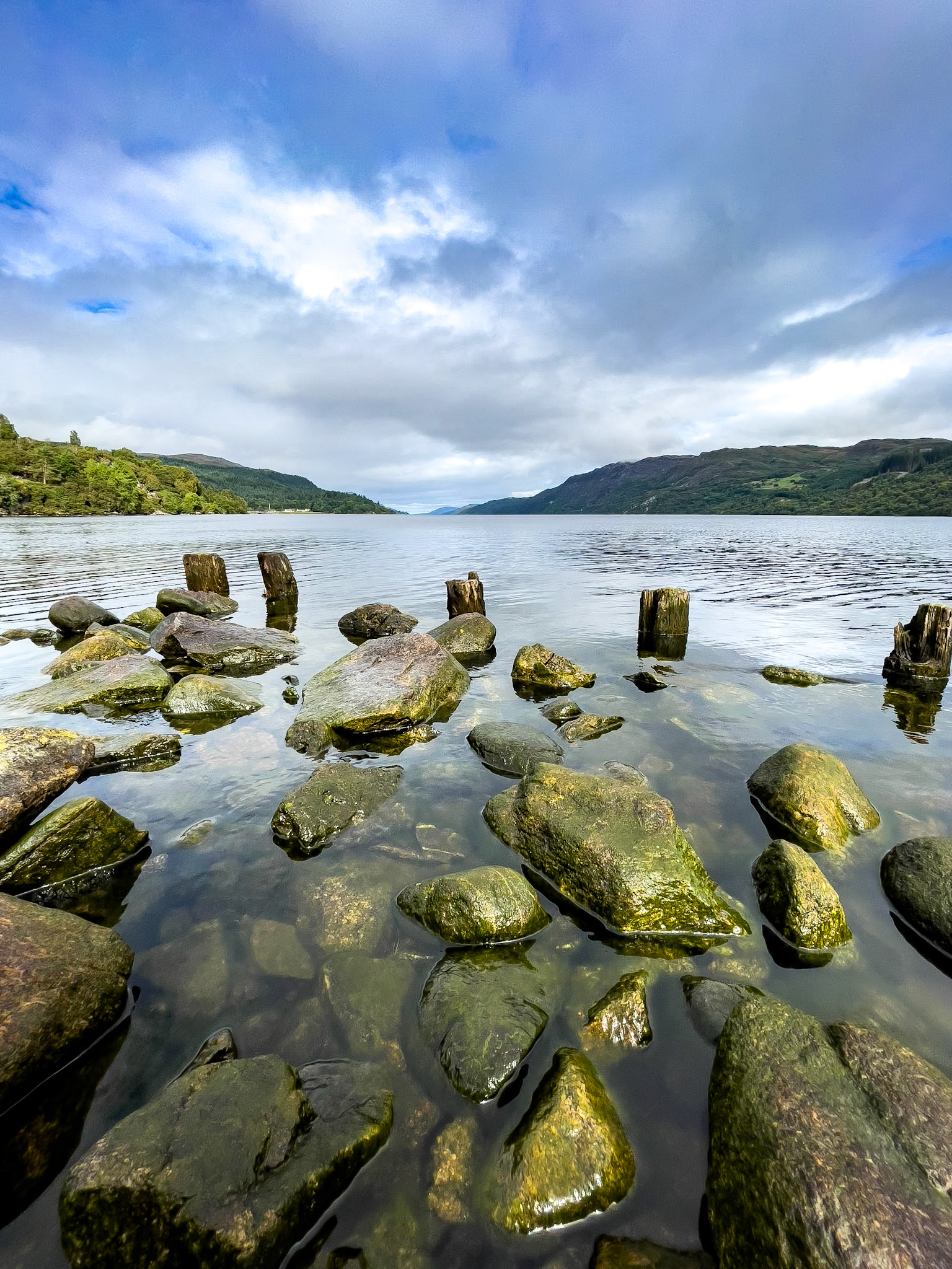 © 2021 Billy Hodgkins Photography All rights reserved.