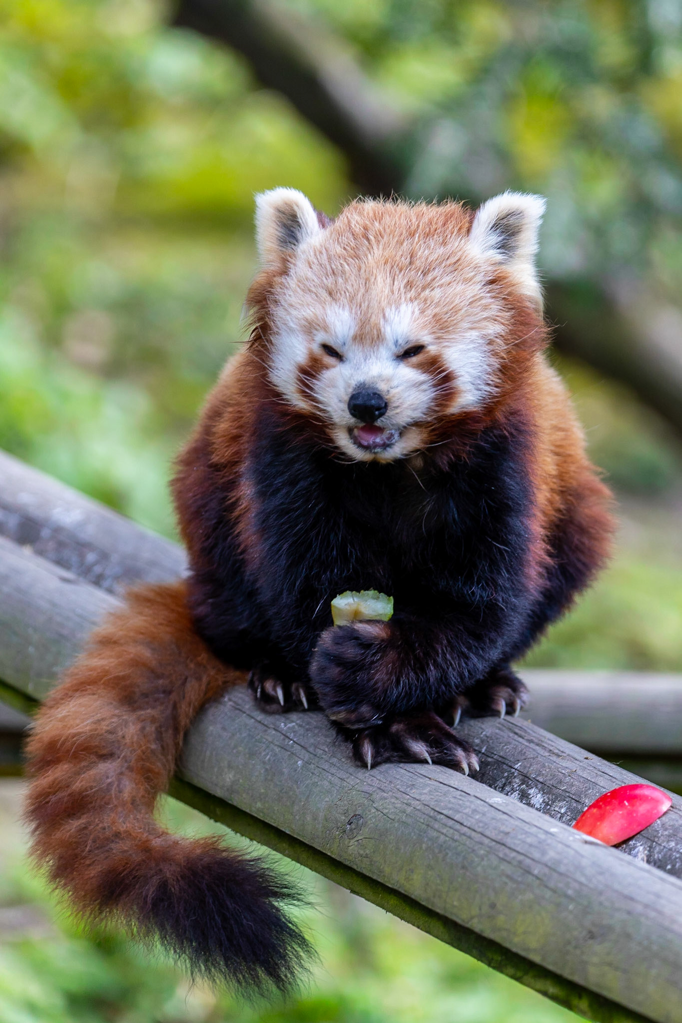 © 2021 Billy Hodgkins Photography All rights reserved.