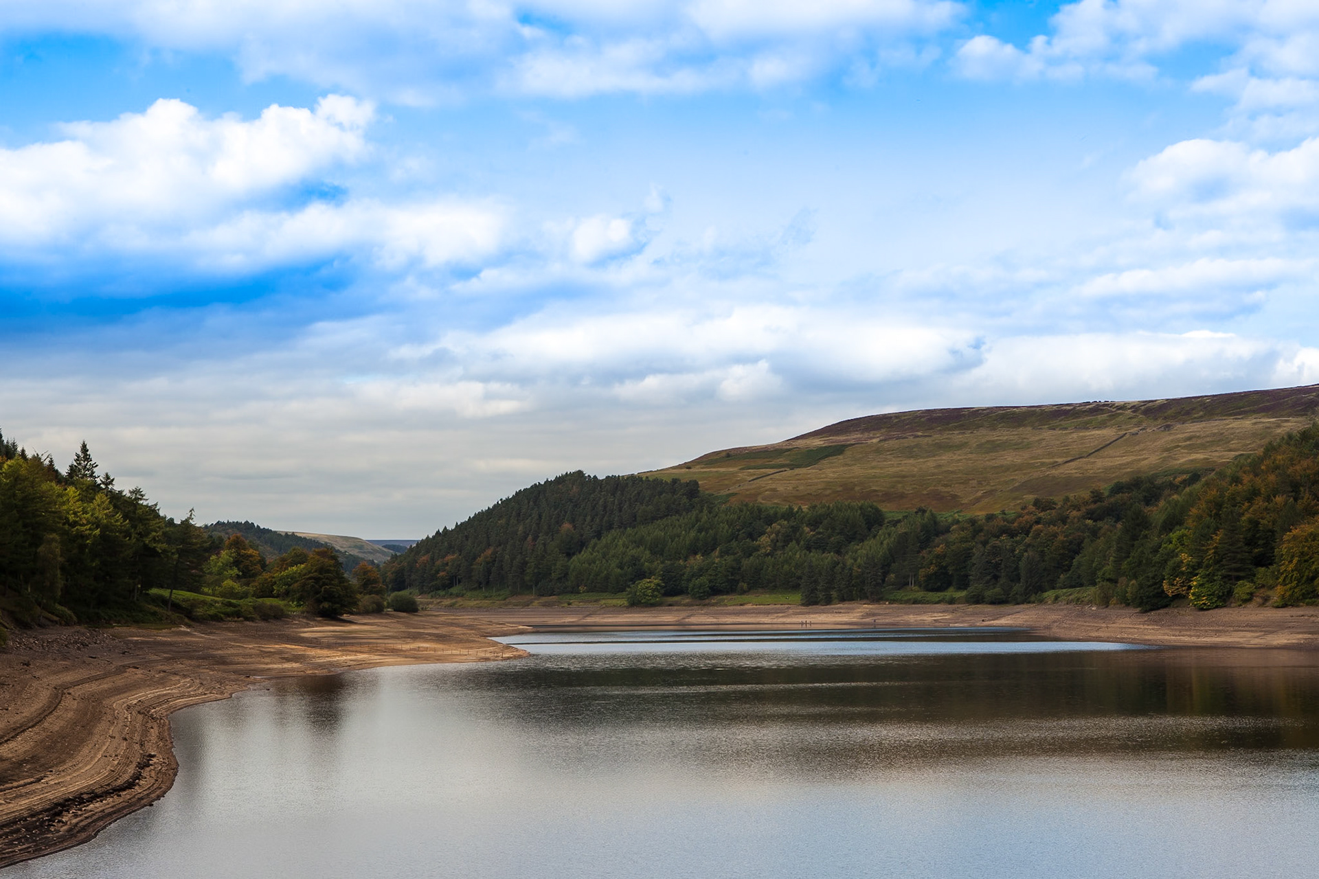 © 2015 Billy Hodgkins Photography All rights reserved.