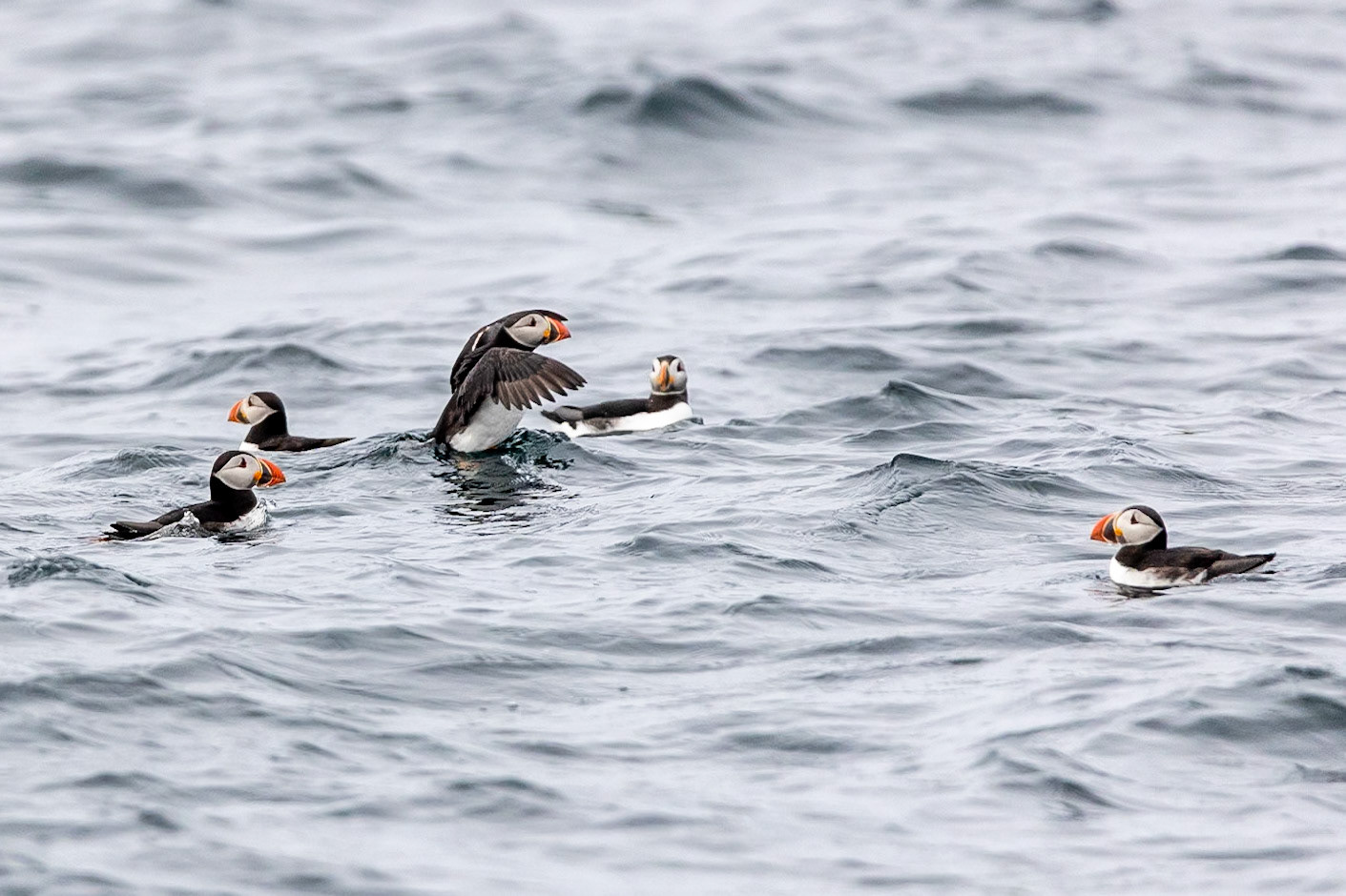 © 2023 Billy Hodgkins Photography All rights reserved.