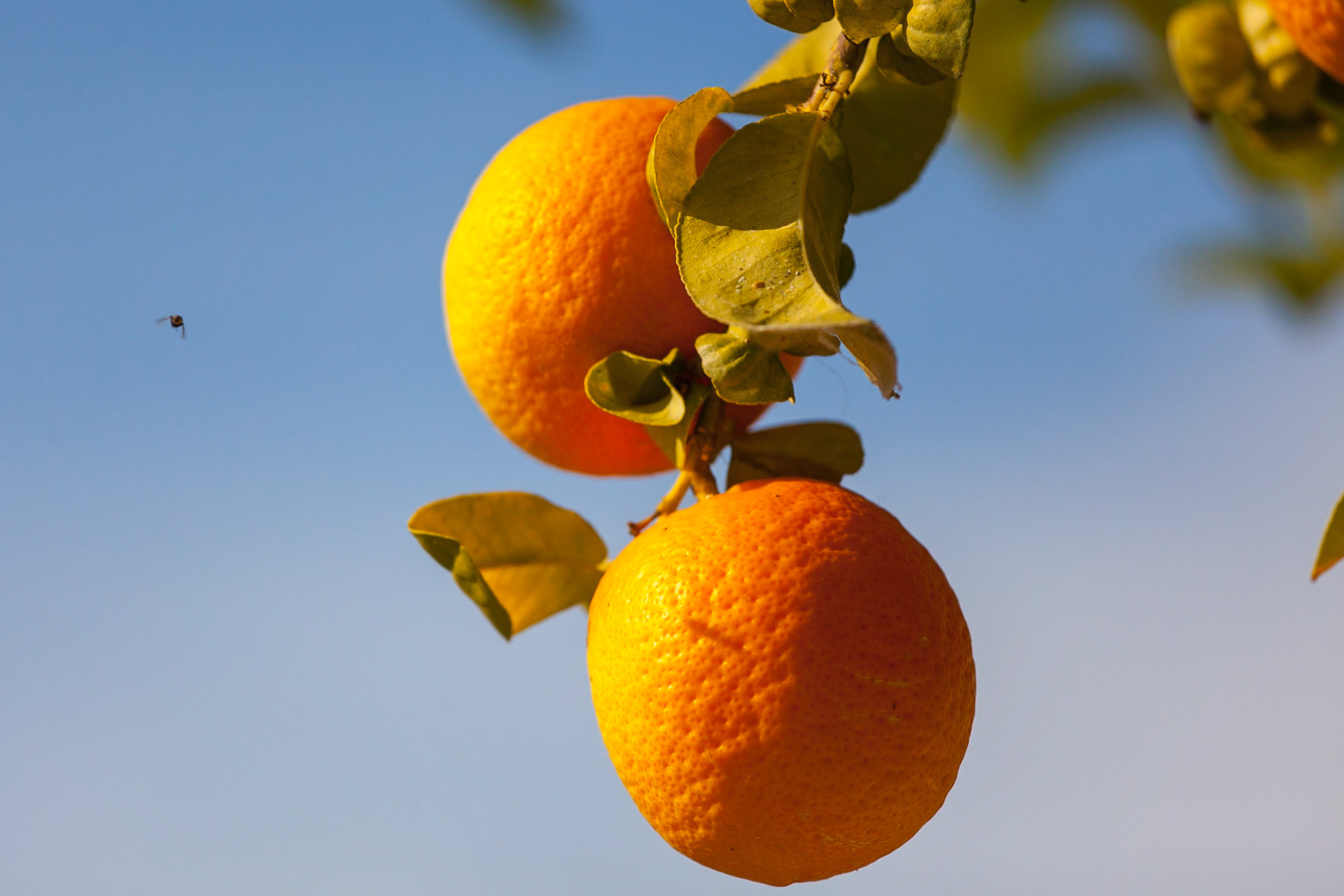 © 2015 Billy Hodgkins Photography All rights reserved.