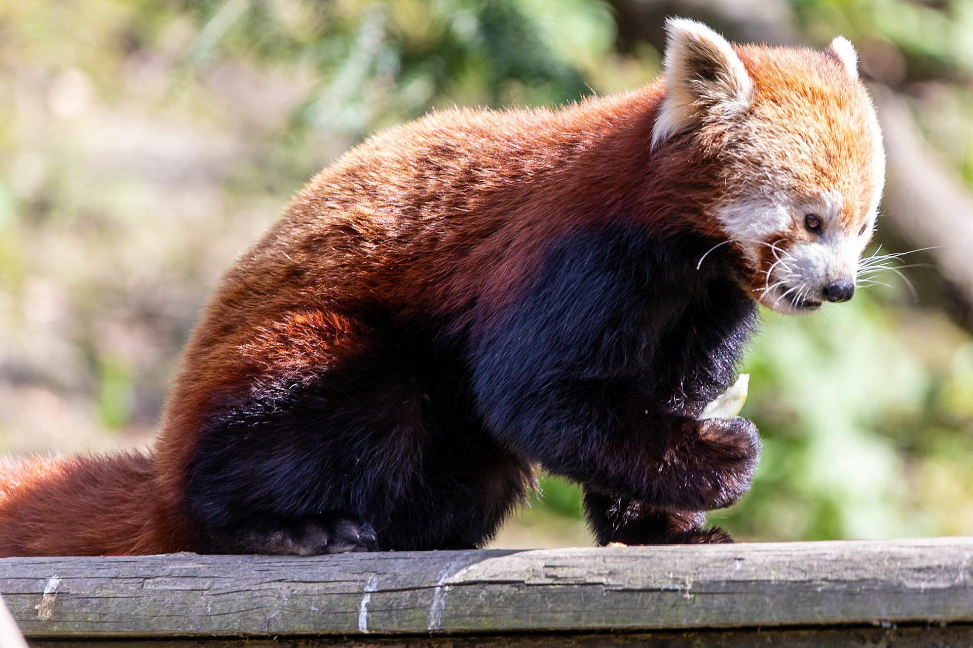 © 2021 Billy Hodgkins Photography All rights reserved.