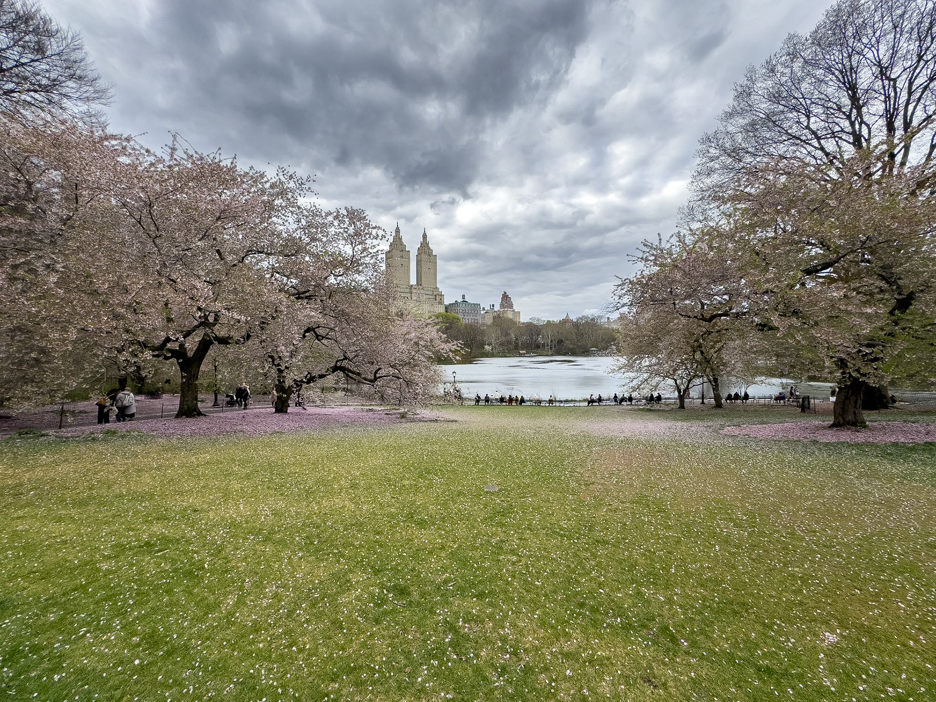 © 2024 Billy Hodgkins Photography All rights reserved.