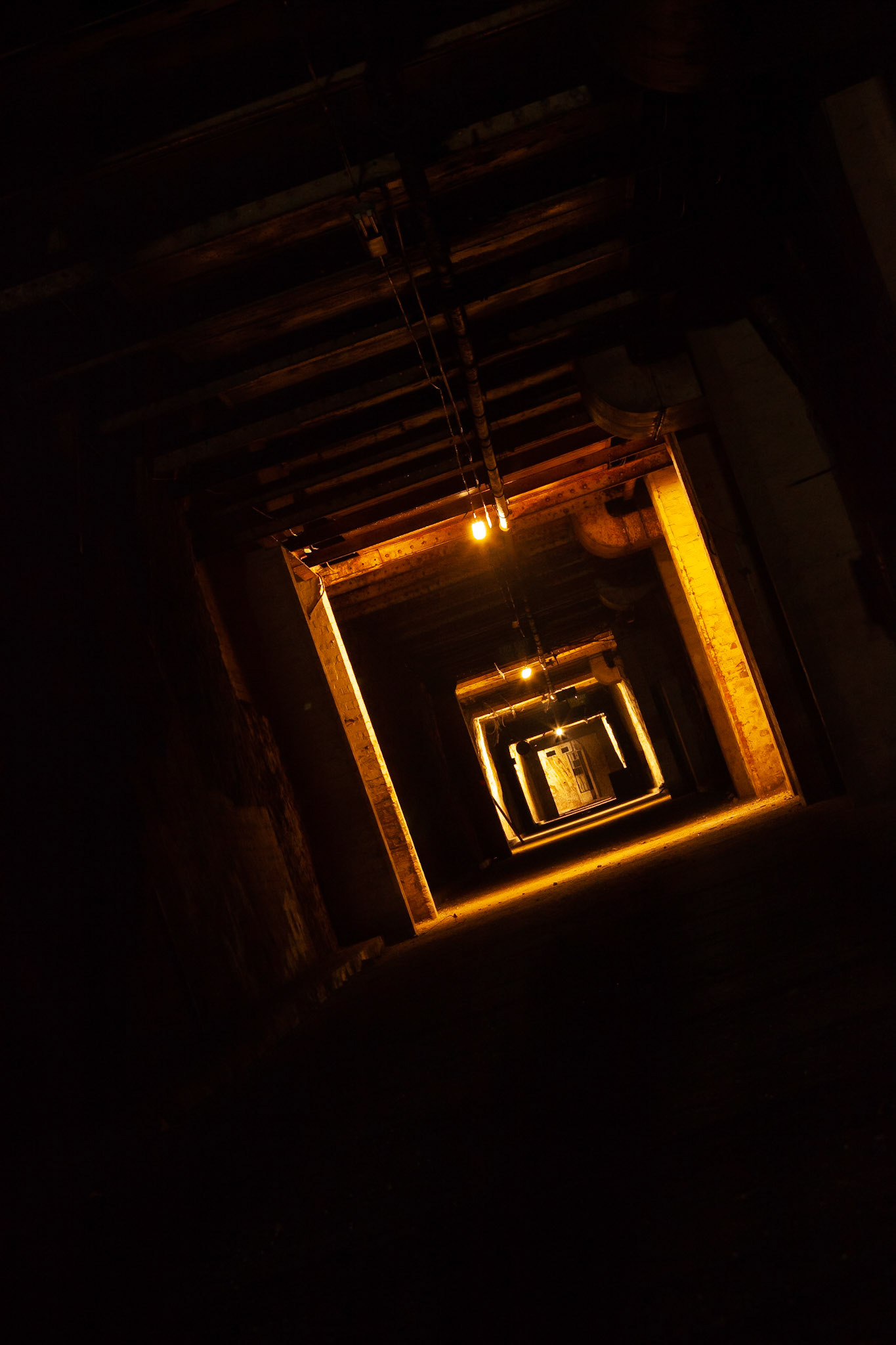 © 2019 Billy Hodgkins Photography All rights reserved.