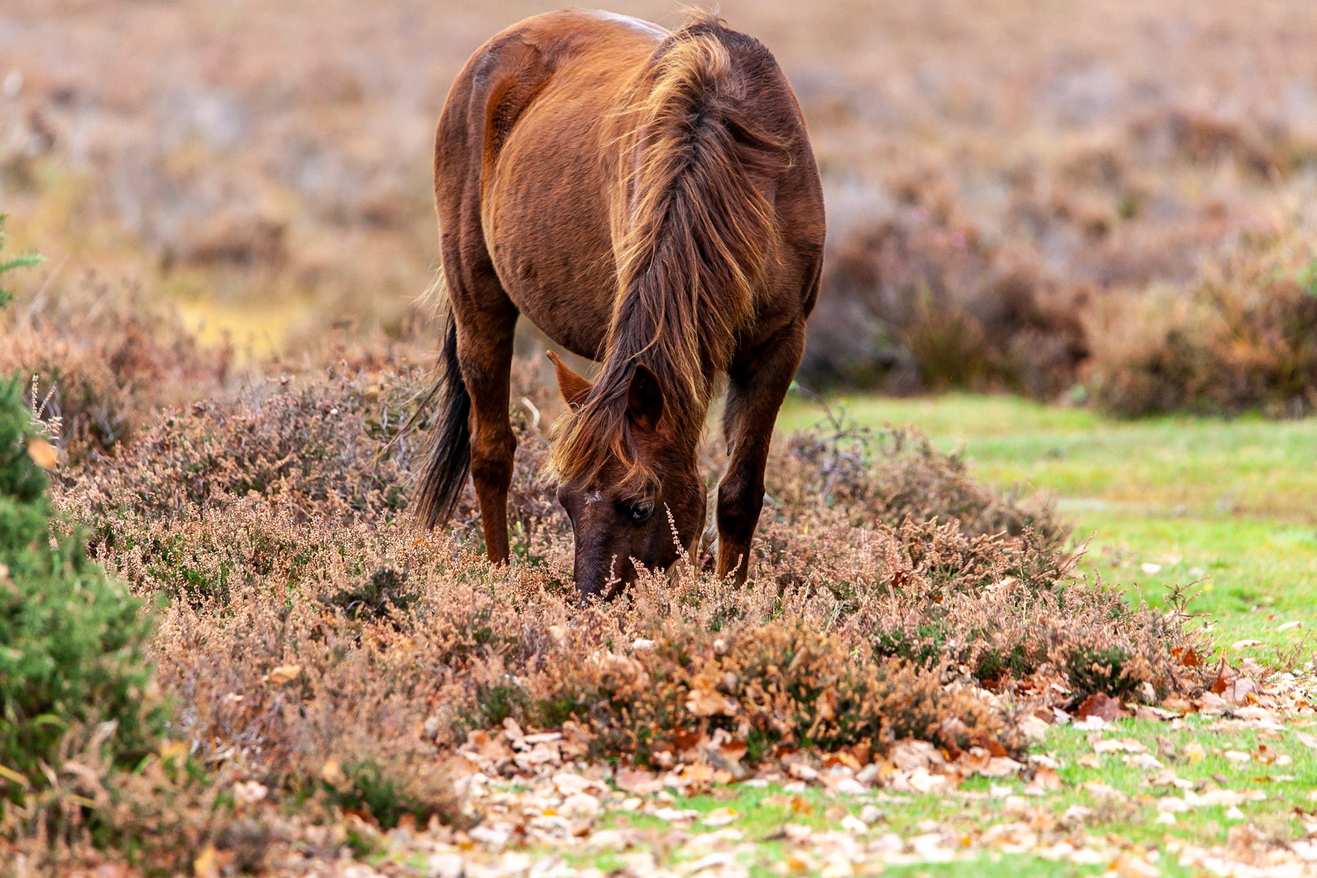 © 2020 Billy Hodgkins Photography All rights reserved.