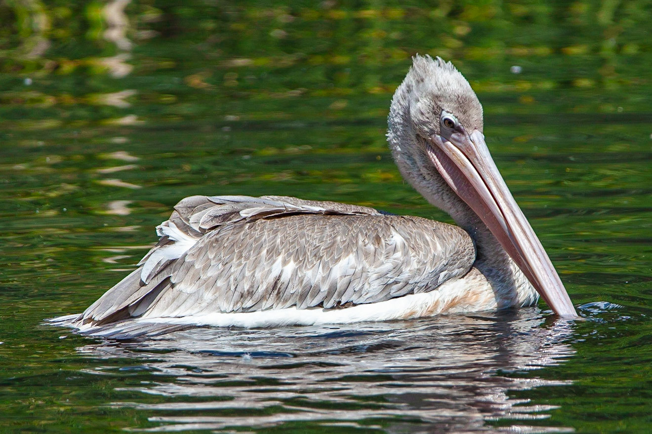 © 2020 Billy Hodgkins Photography All rights reserved.