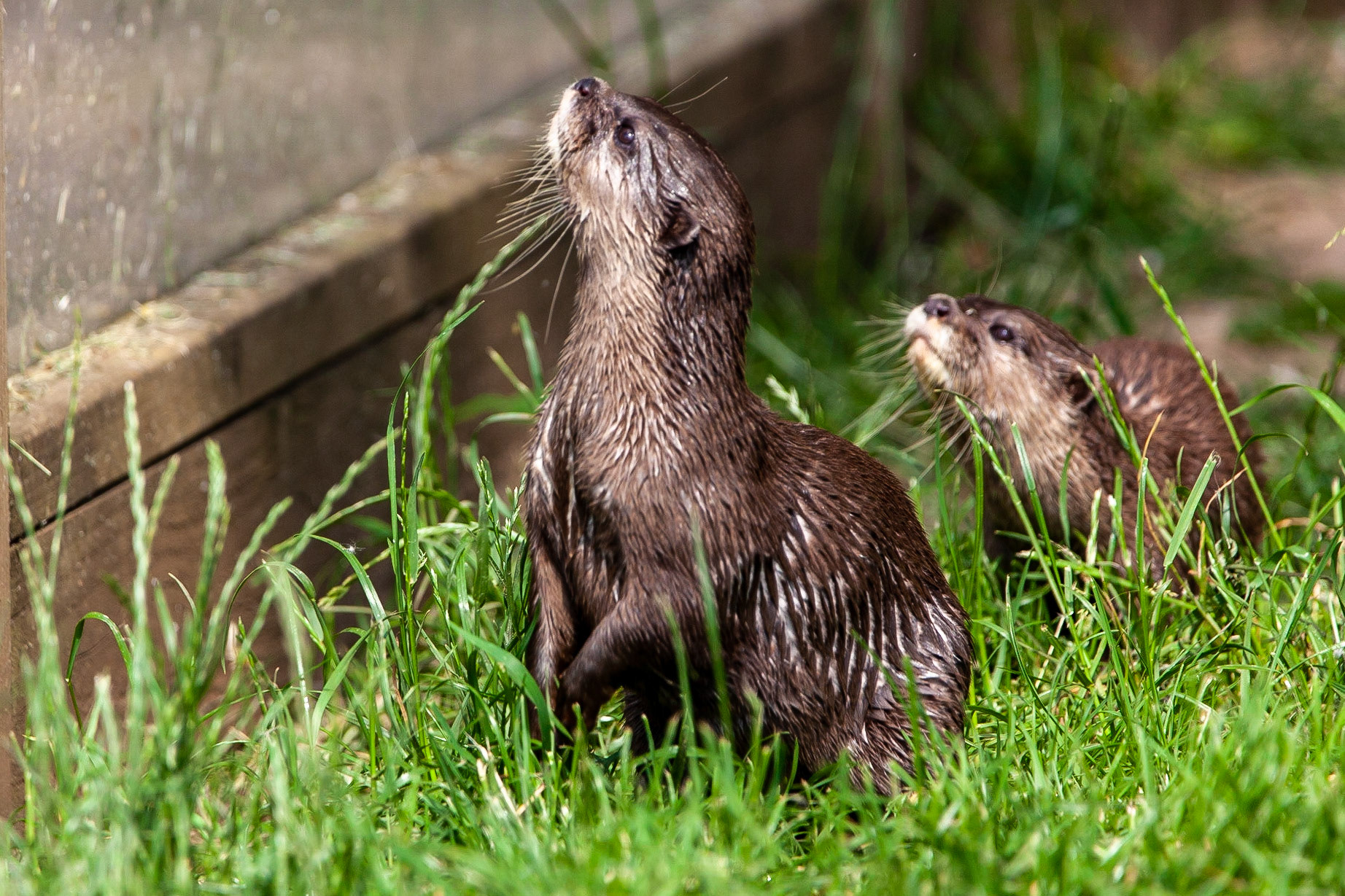 © 2020 Billy Hodgkins Photography All rights reserved.