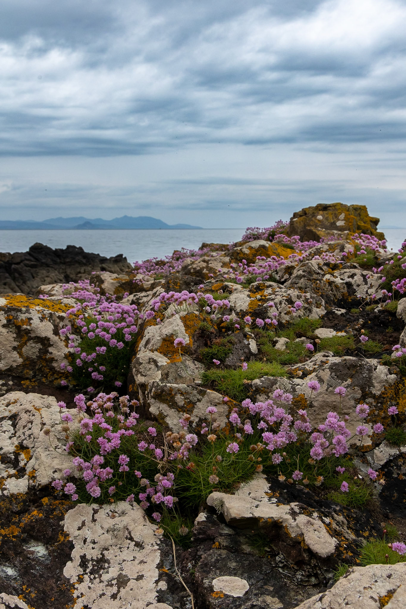 © 2023 Billy Hodgkins Photography All rights reserved.